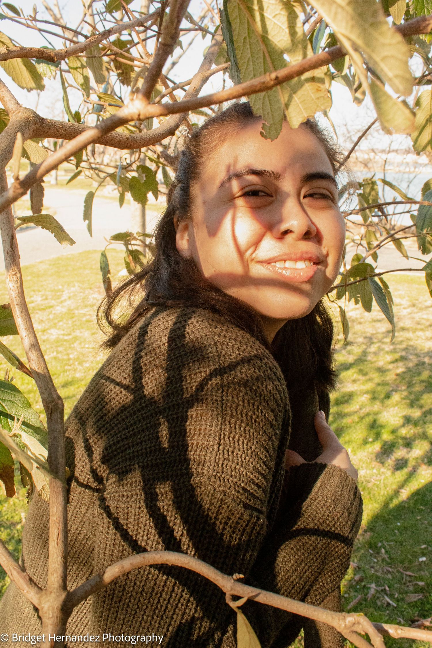 Sunlit portrait through tree branches casting dappled shadows on a fall day.