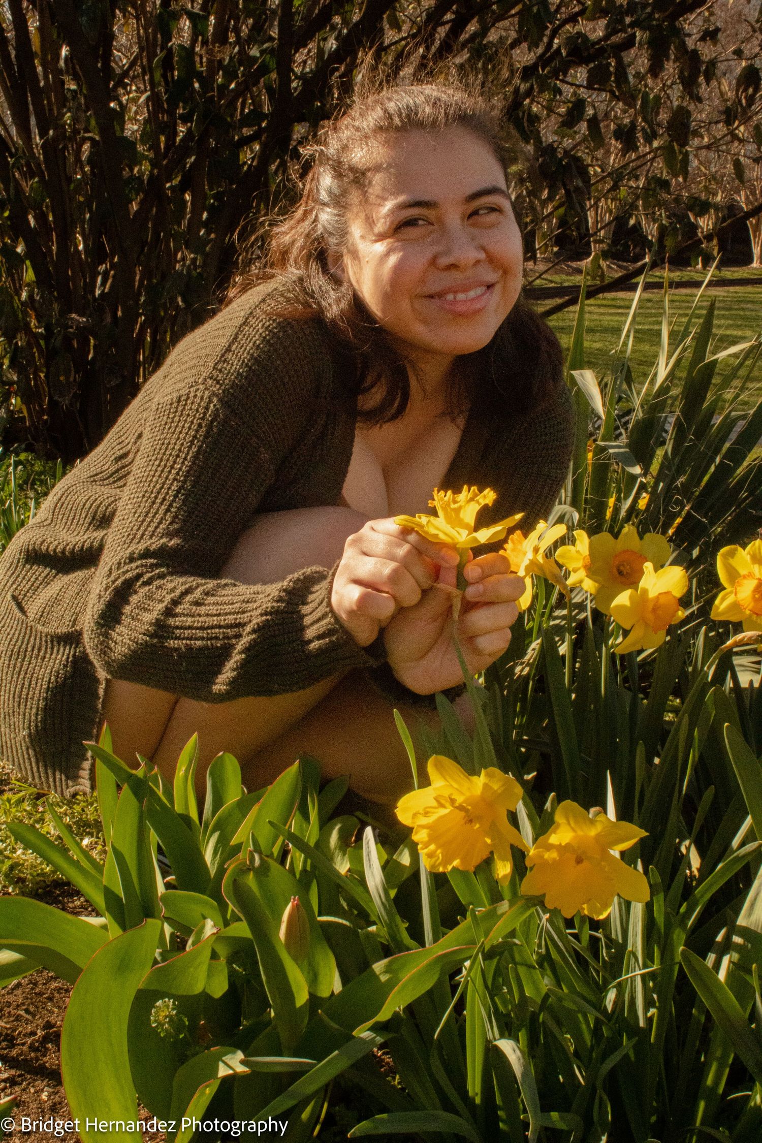 Spring photoshoot featuring bright yellow daffodils and a brown knit sweater.