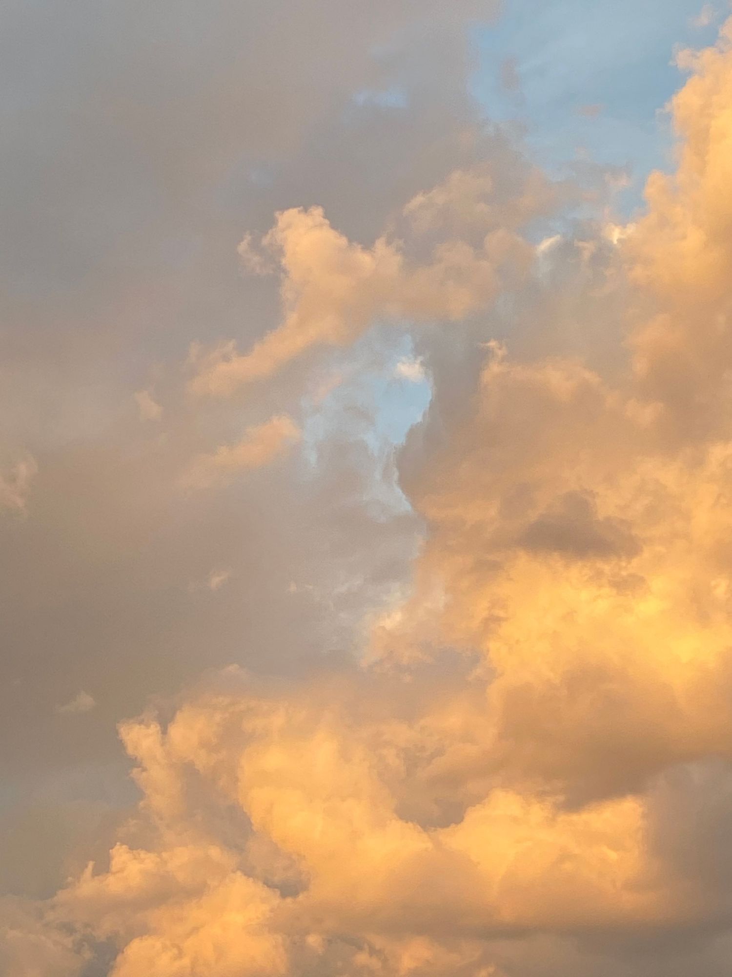 Dramatic golden sunset clouds illuminated with warm light against gray sky.