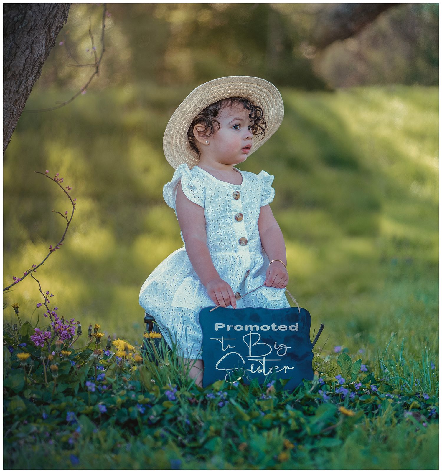 Toddler girl in white dress and straw hat sits outdoors holding a sign reading Promoted to Big Sister.