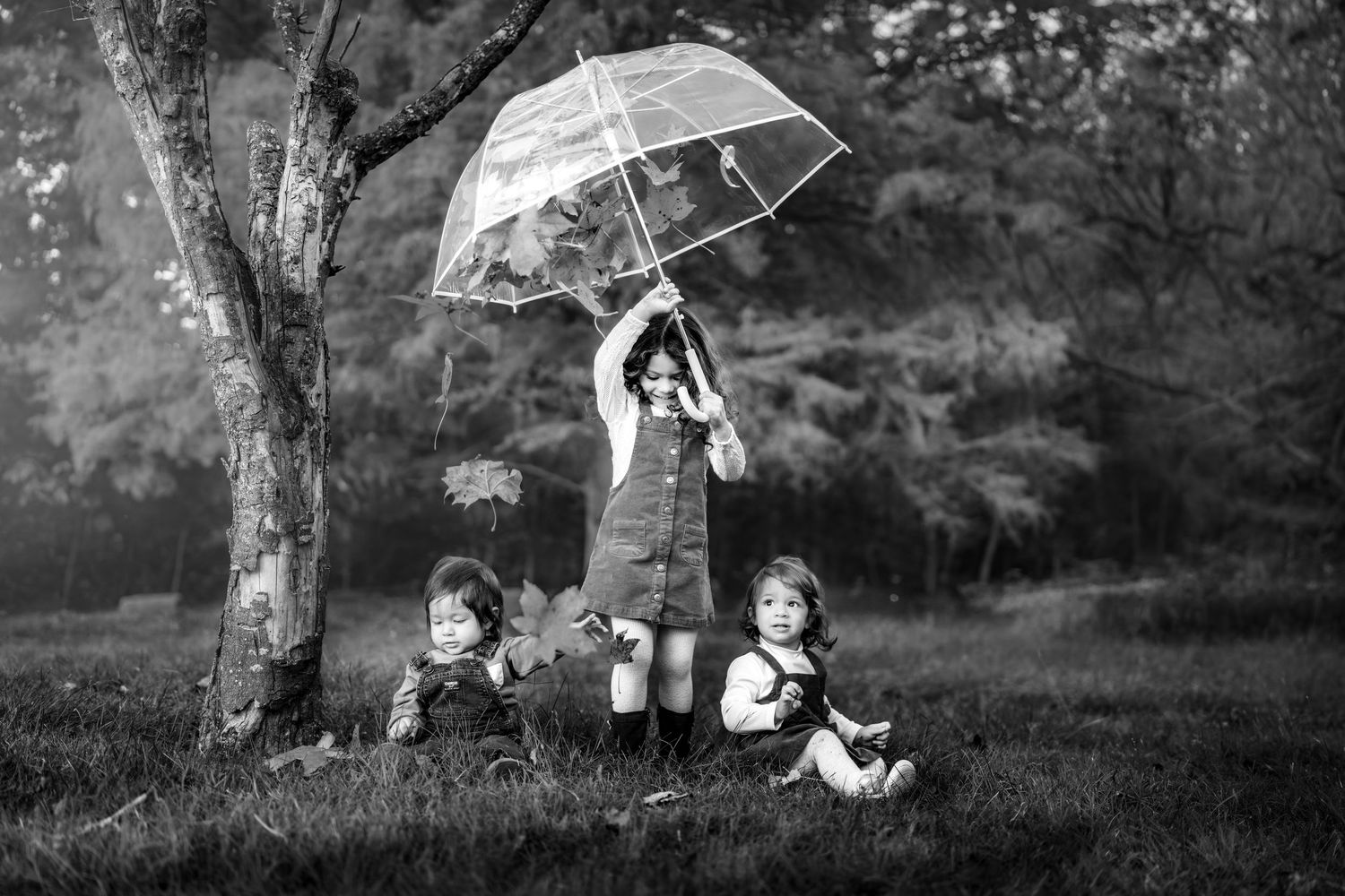 A series of black and white photos showing a person climbing a tall tree in a wooded outdoor setting.