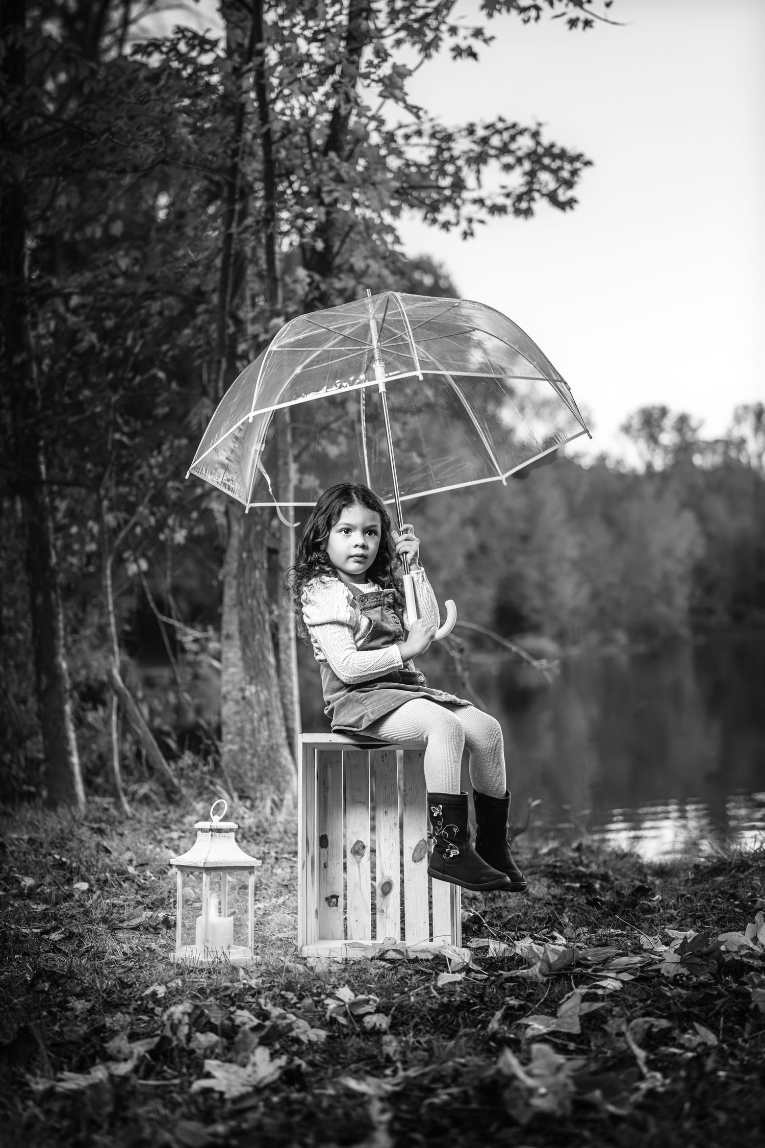 A series of black and white photos showing a transparent umbrella and wooden crate in a moody forest setting near water.