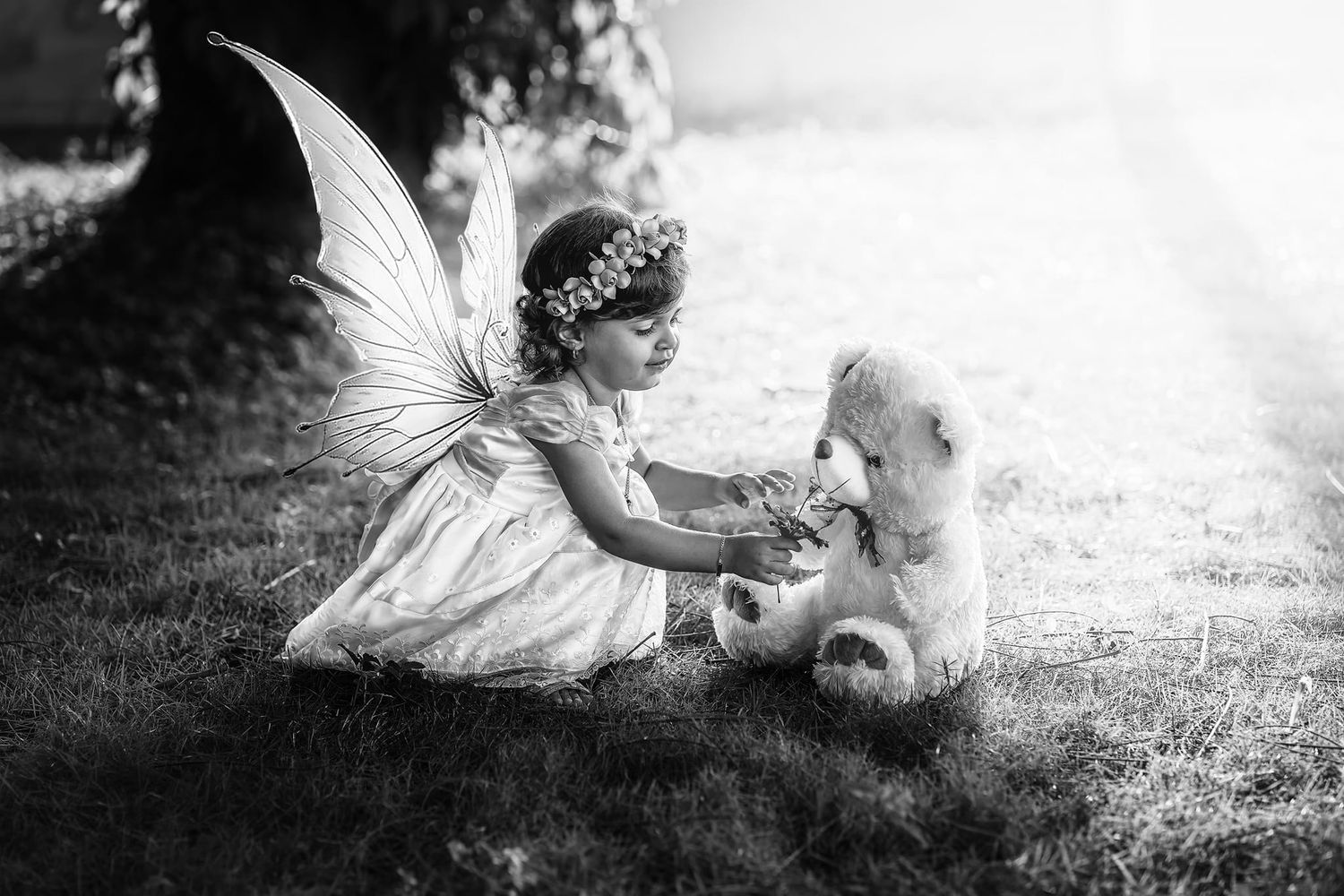 Blanco y negro, luz y sombras