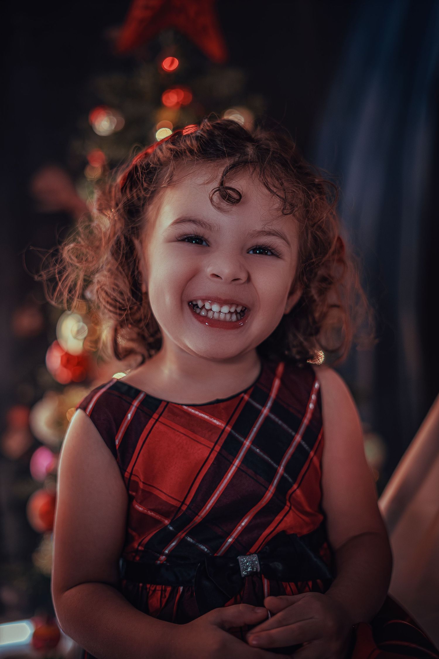 navidad