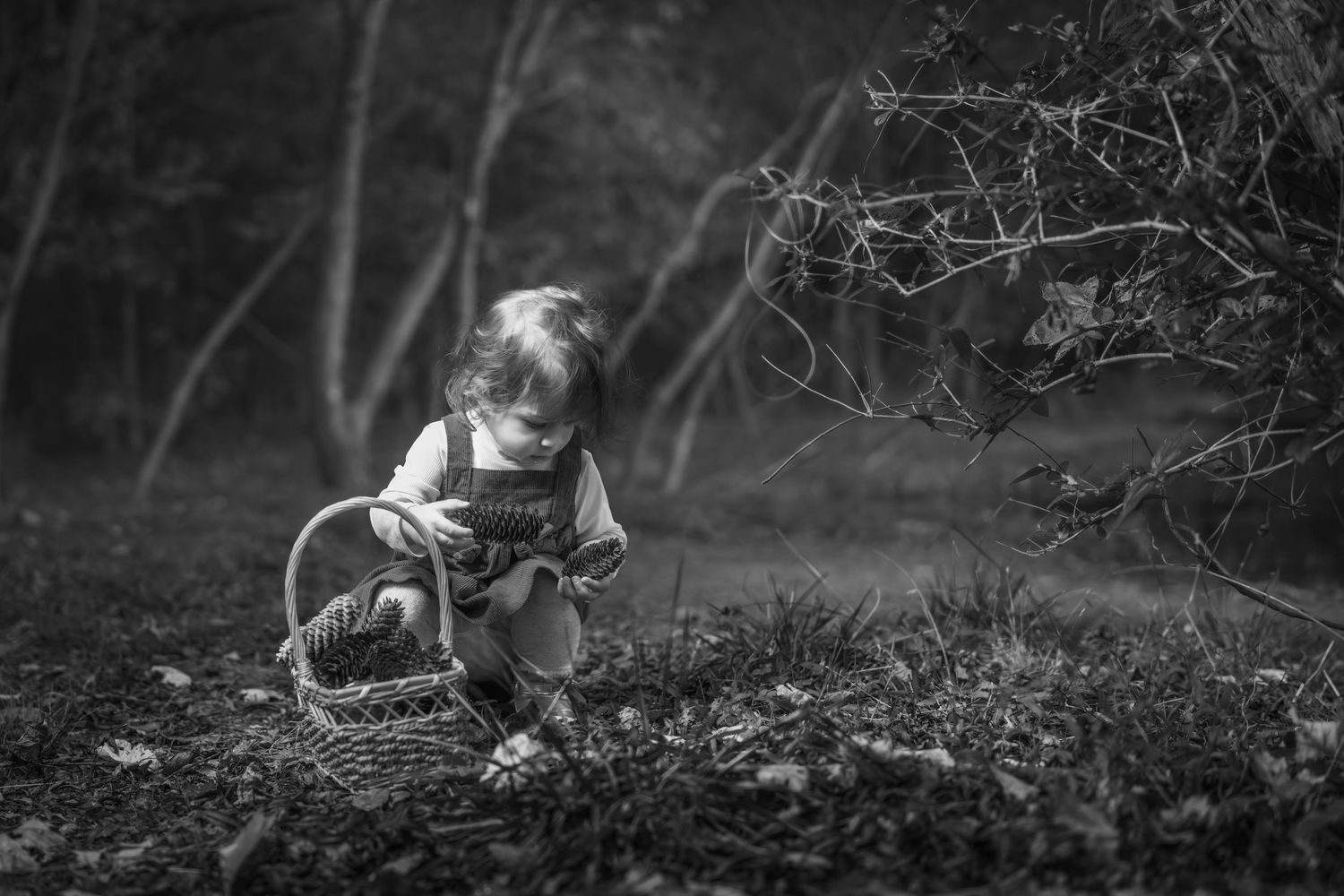 A person in a white dress lies on a dark forest floor while reading a book in moody black and white photography.