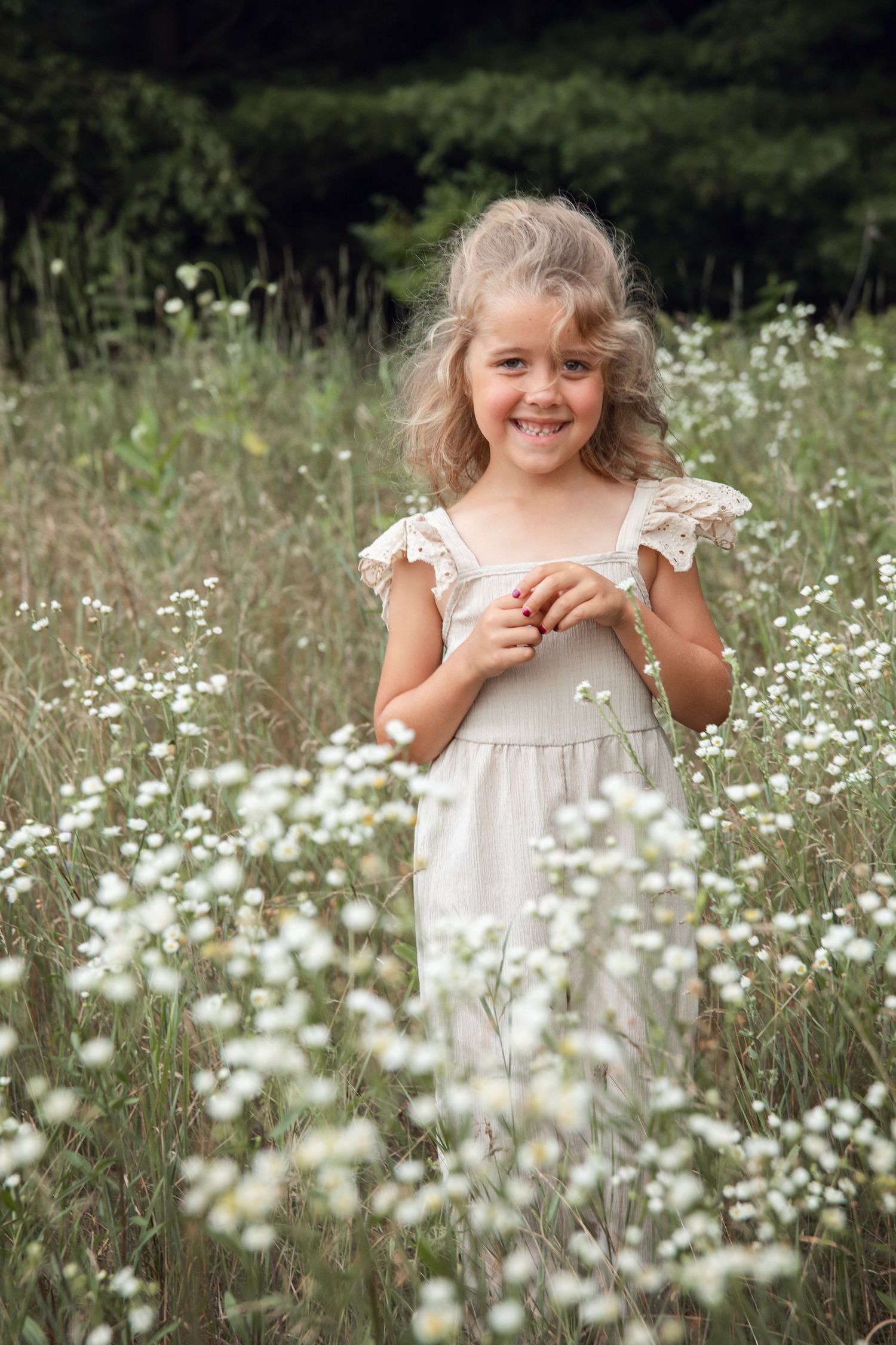 Meadow filled with white daisies and tall grass creates a dreamy summer scene.