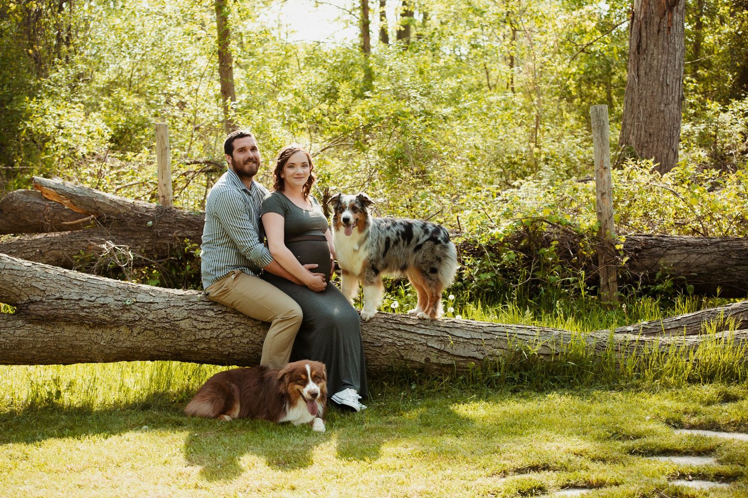 Couple sits on fallen log with their Australian Shepherds in wooded setting.