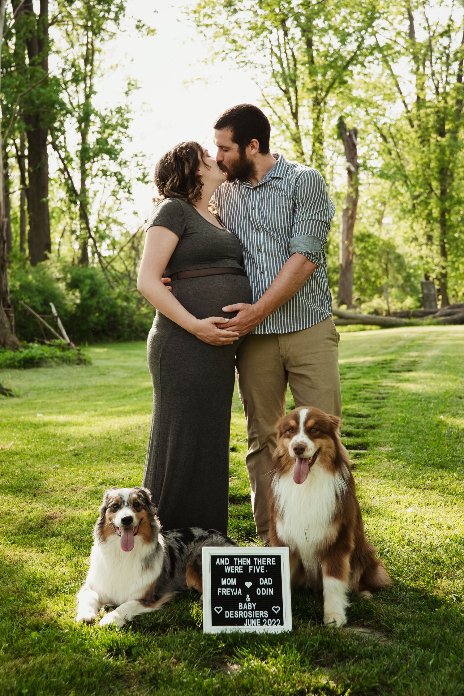 Maternity photo with two Australian Shepherds and a letterboard sign in a green park setting.