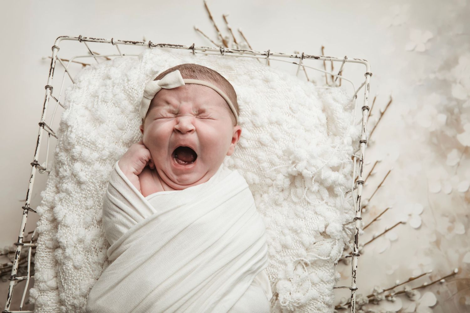 Crying newborn wrapped in white swaddle on textured white backdrop with twigs.