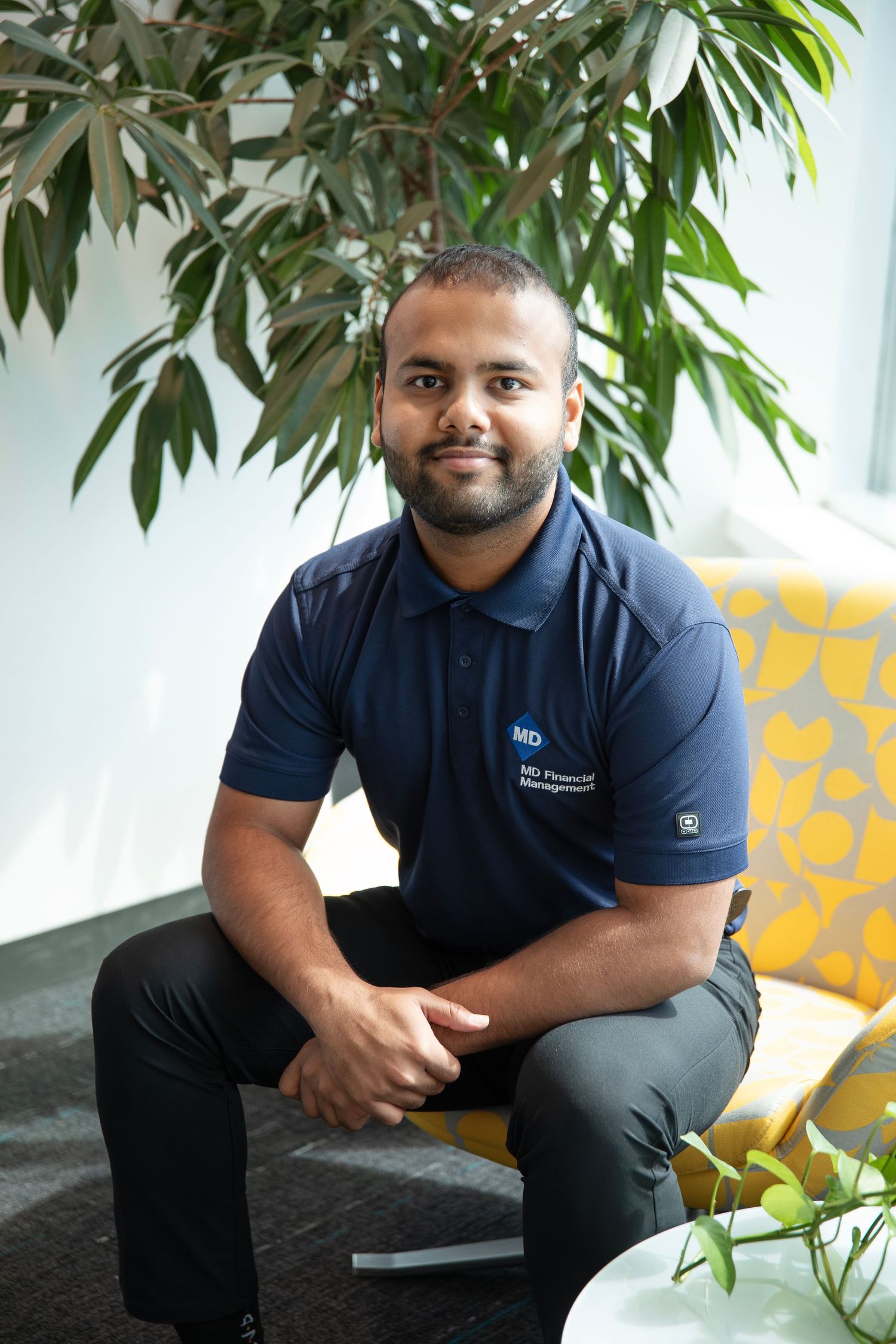 Professional employee in navy polo shirt sits in modern office space with indoor plants and yellow decor.