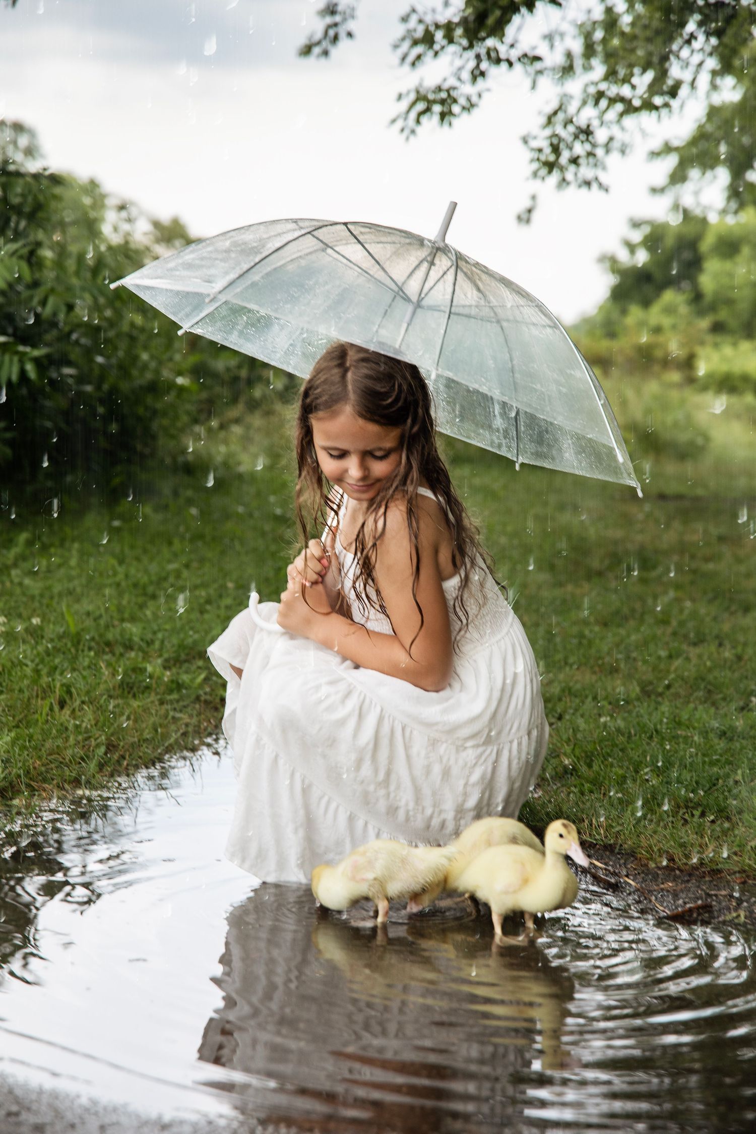 A series of four photos shows a person in a white dress at a pond with baby ducklings on a rainy day.