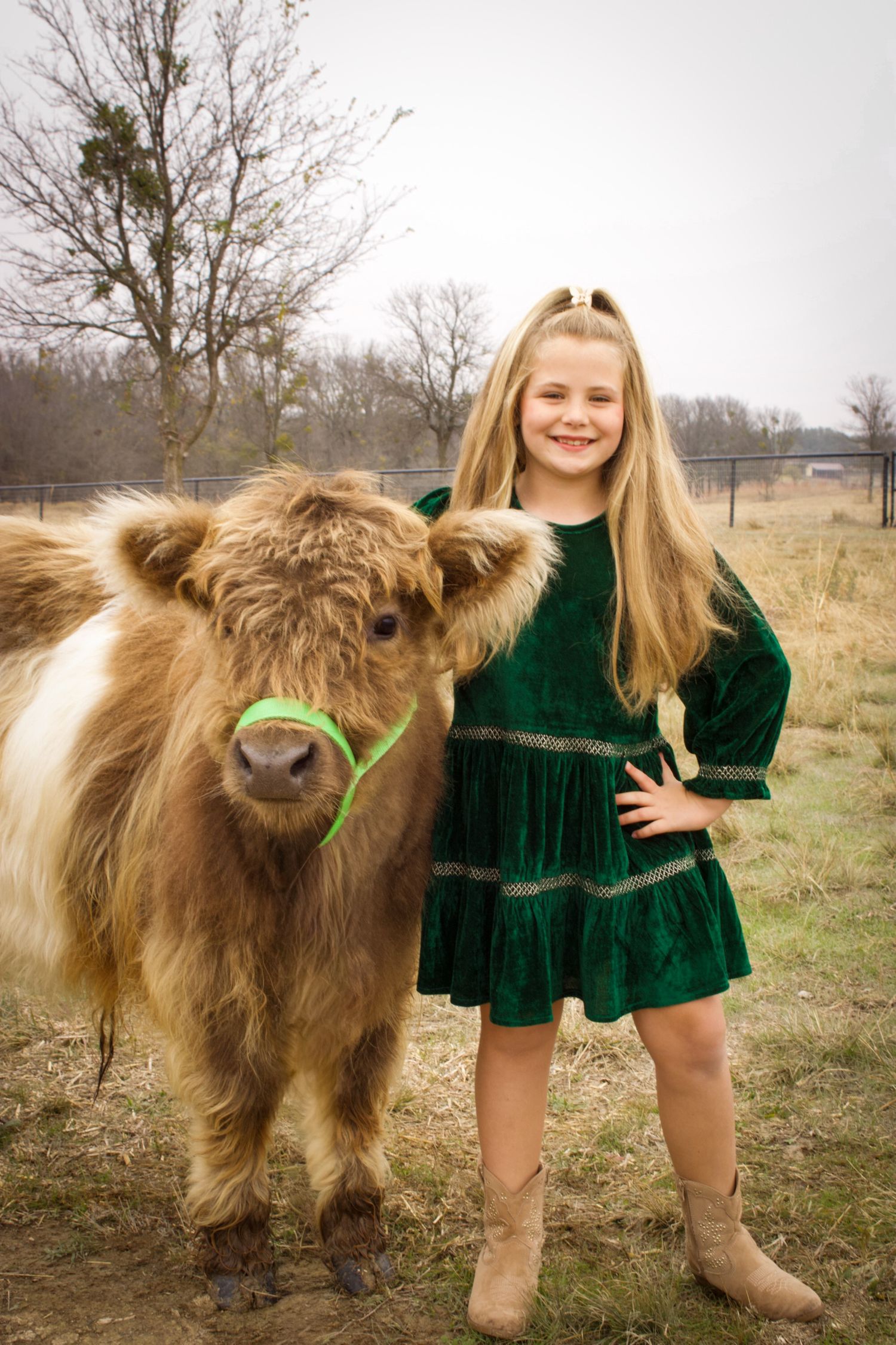 A series of photos showing a fluffy brown Highland cow and someone in a green velvet dress posing together in a field.