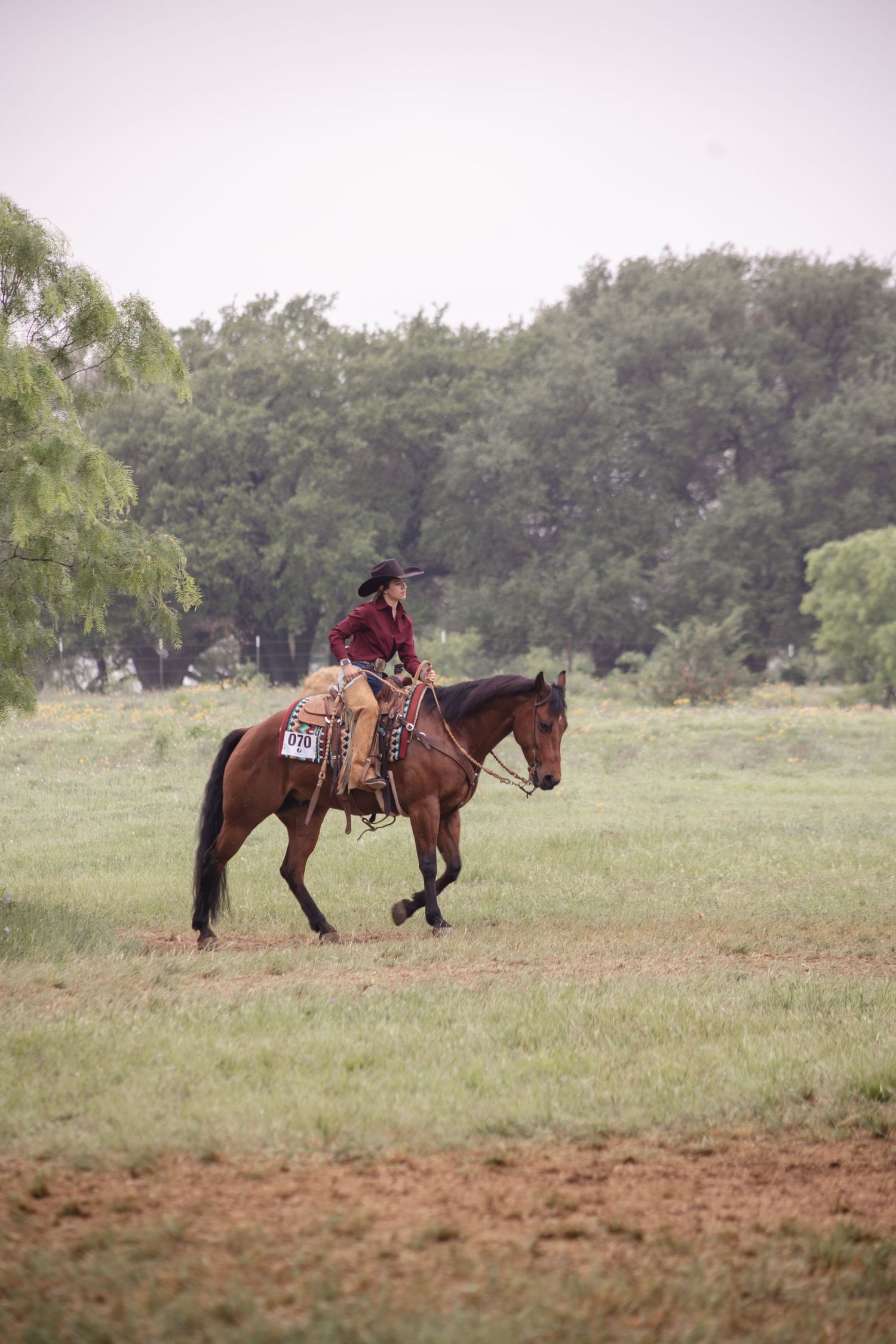 A cowgirl in a red shirt rides a brown horse across a green grassy field with trees in the background.