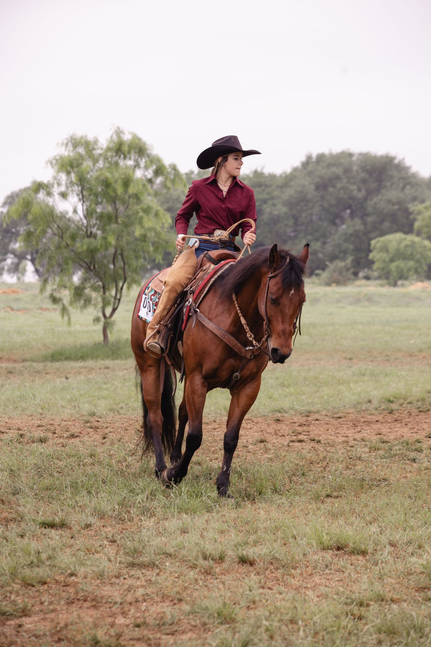 A cowgirl in a red shirt and black hat rides a bay horse across a grassy field.