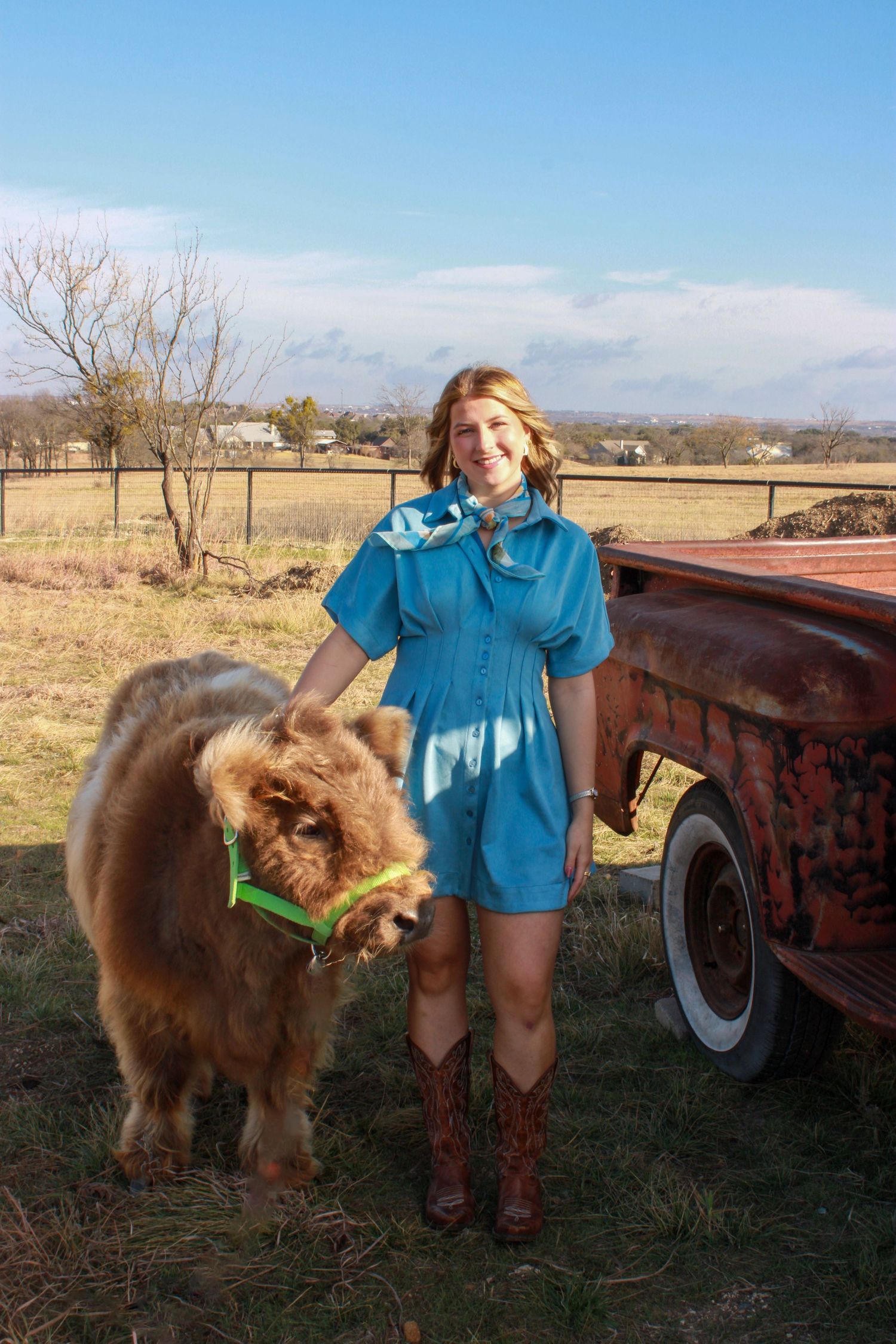 A brown miniature horse stands next to a vintage red truck in a rural field on a sunny day.