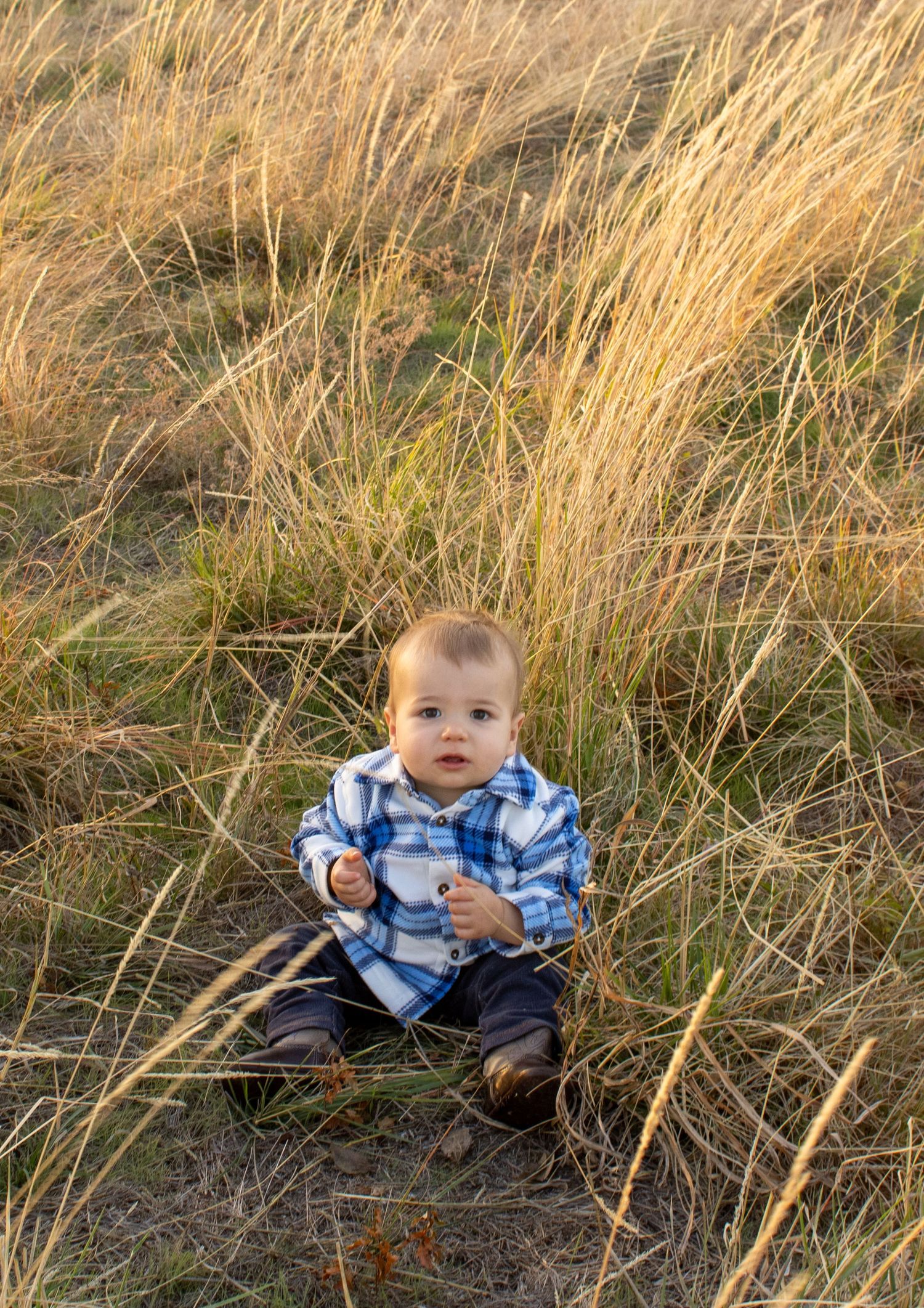 A small child sits in tall golden grass during sunset wearing a blue and white plaid shirt.