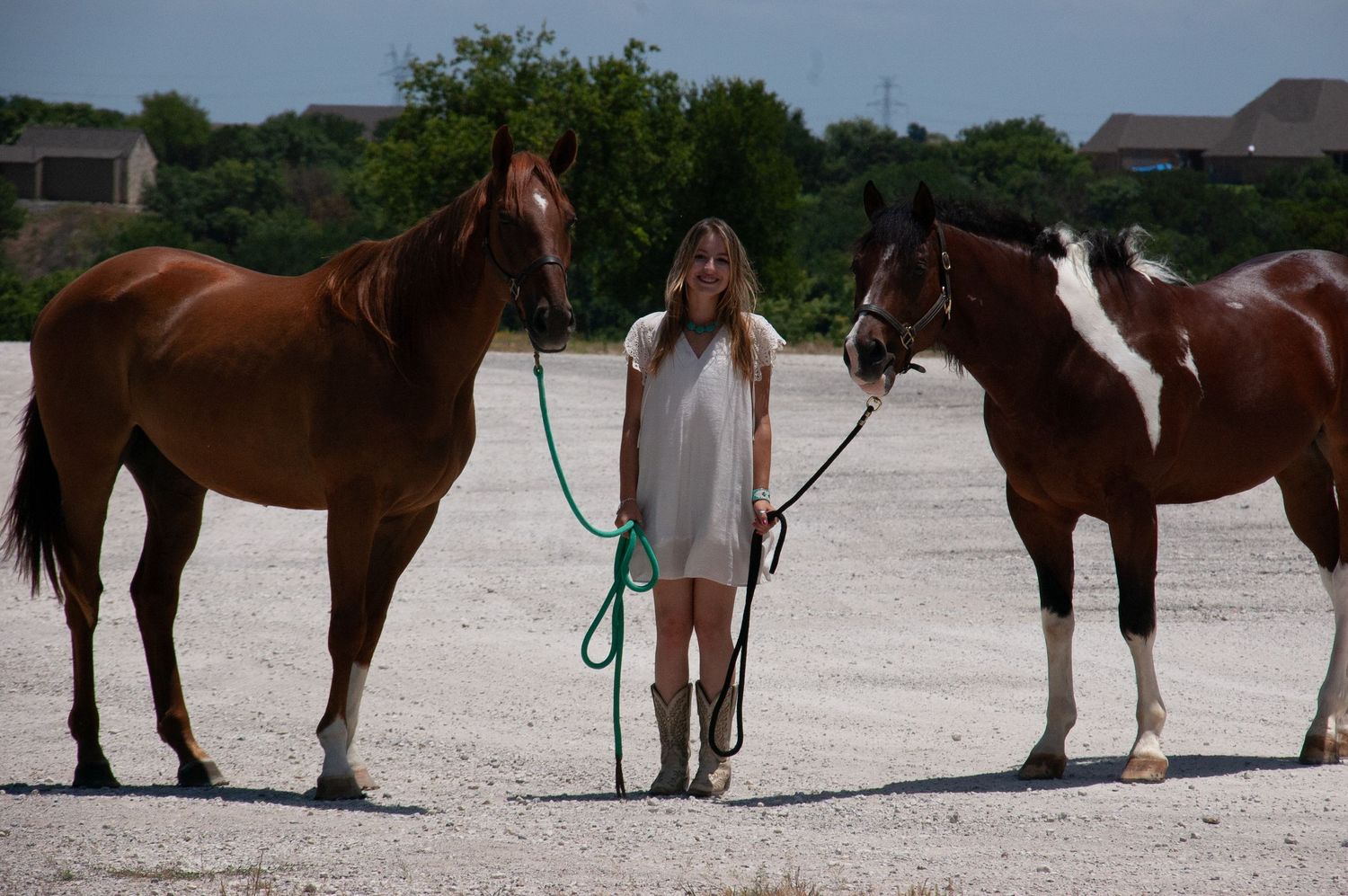 Line of horses and handlers standing in outdoor arena.