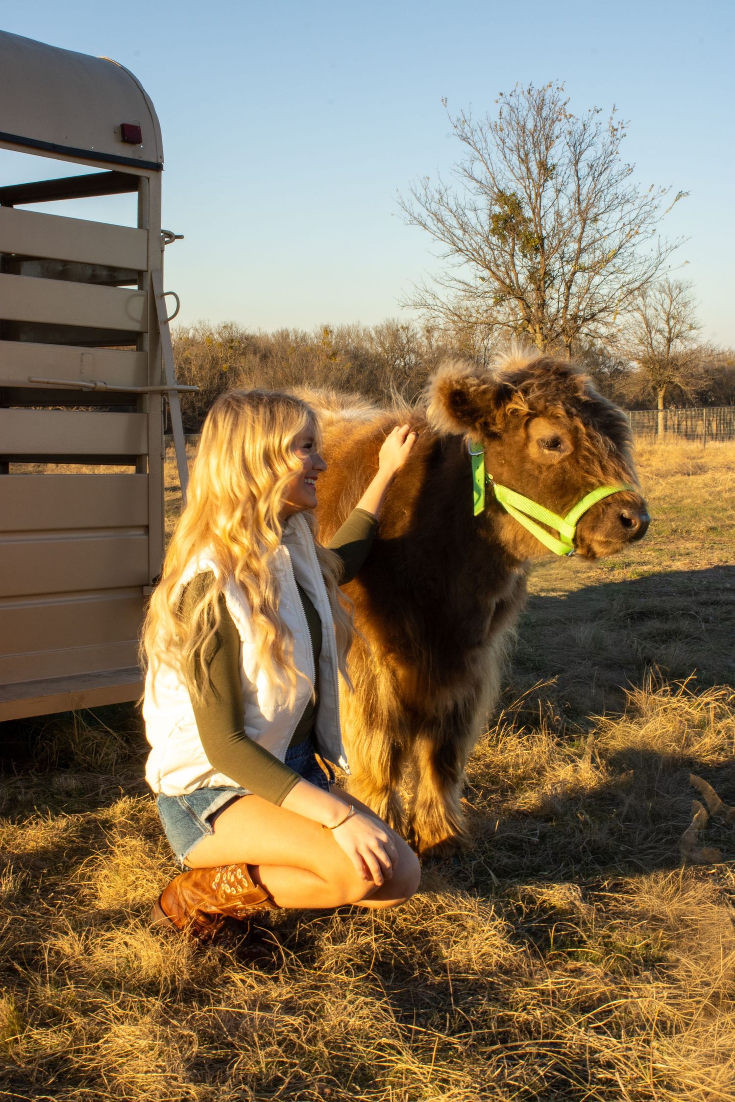A series of images showing a person petting and interacting with a large brown dog in a sunlit outdoor field.