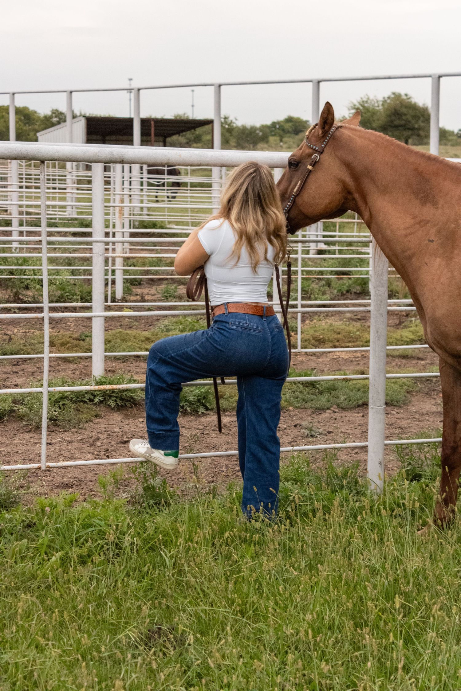 A brown horse and someone in jeans by metal corral fencing.