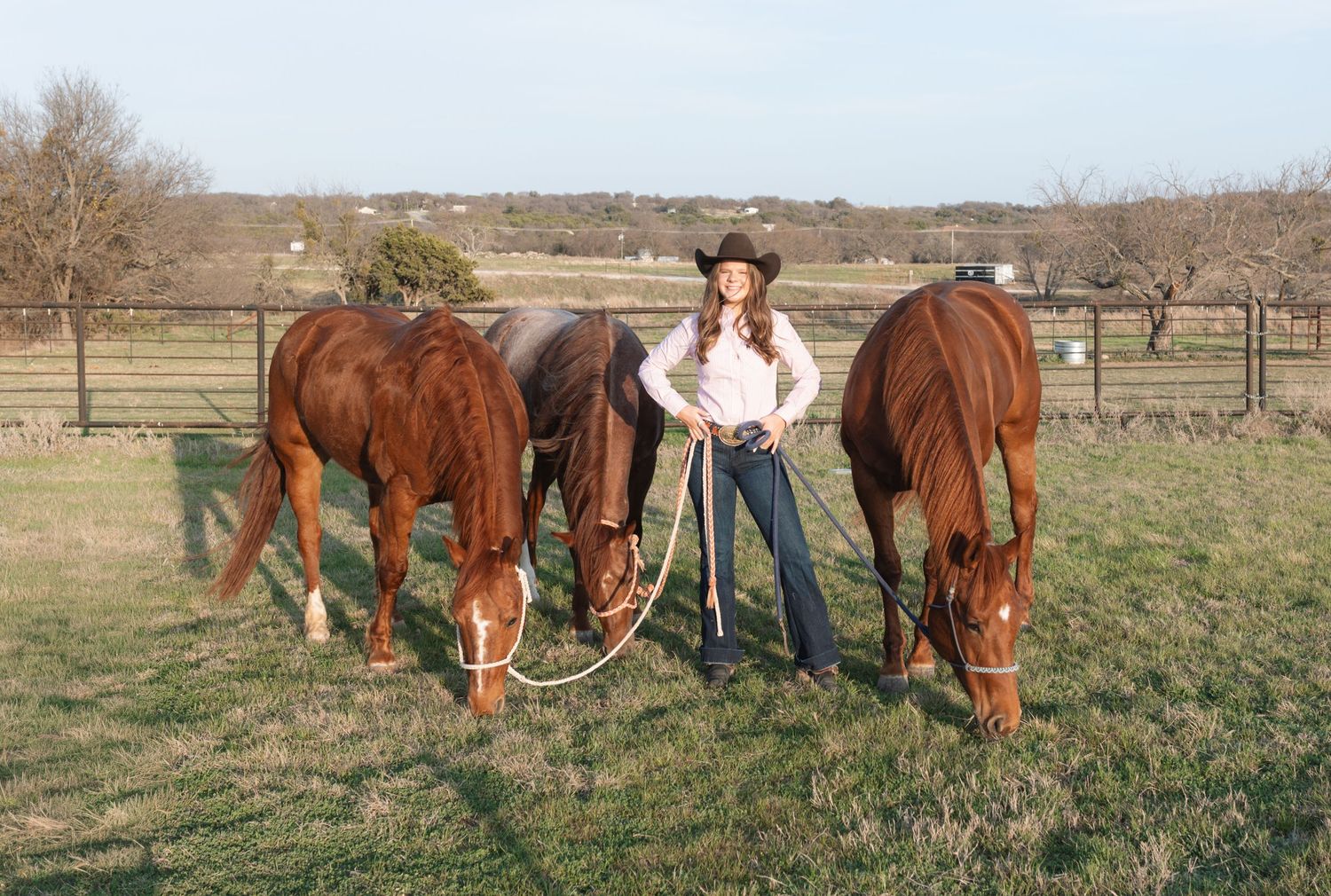 A sequence of images showing a horse being trained in a grassy pasture with wooden fencing in the background.