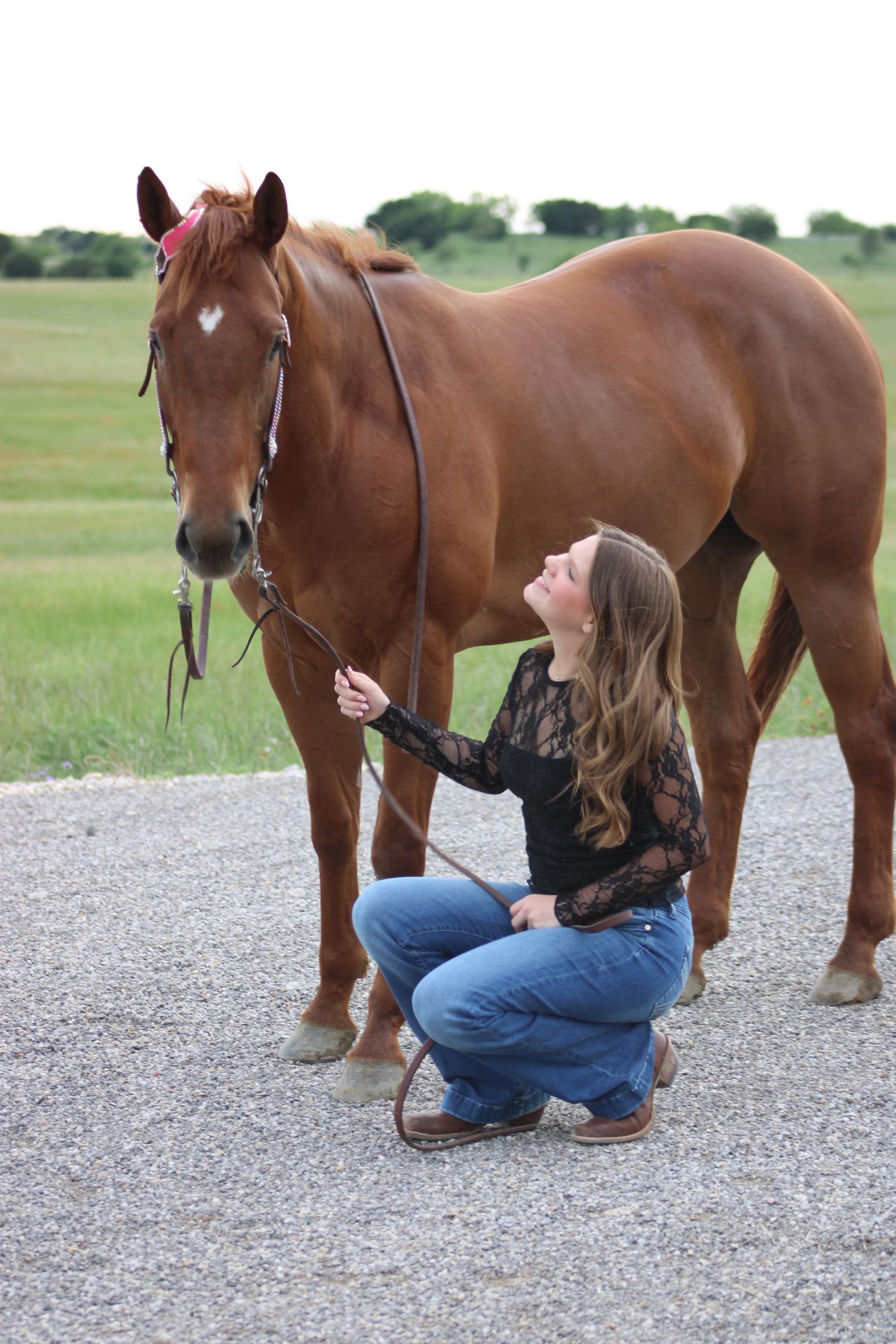 Person kneeling beside a brown horse on a gravel path in a rural setting.