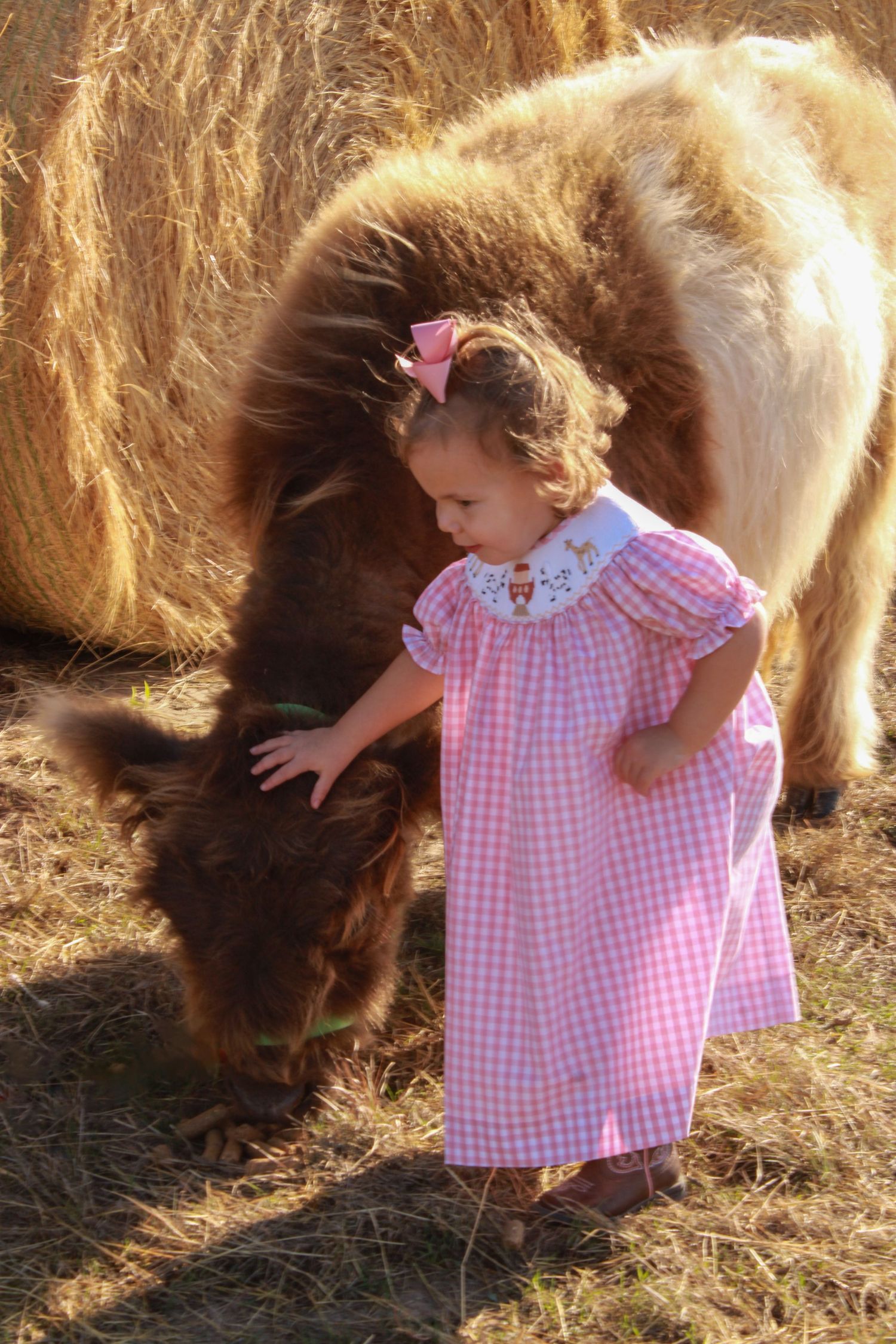 A child in a pink gingham dress pets a large brown cow while sitting in straw at a farm.