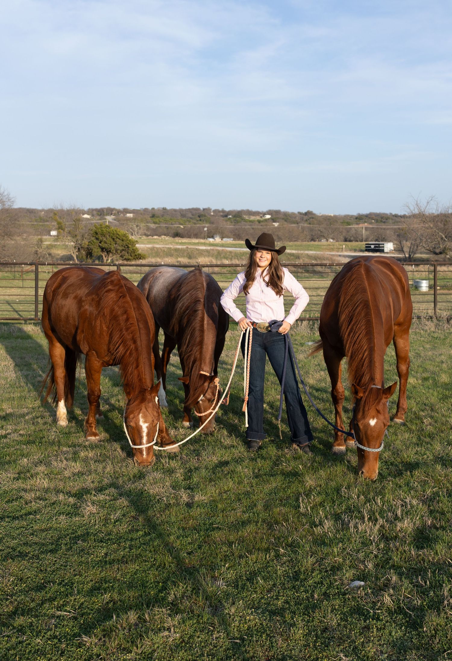 A sequence of four photos showing ponies grazing together in a grassy pasture on a sunny day.