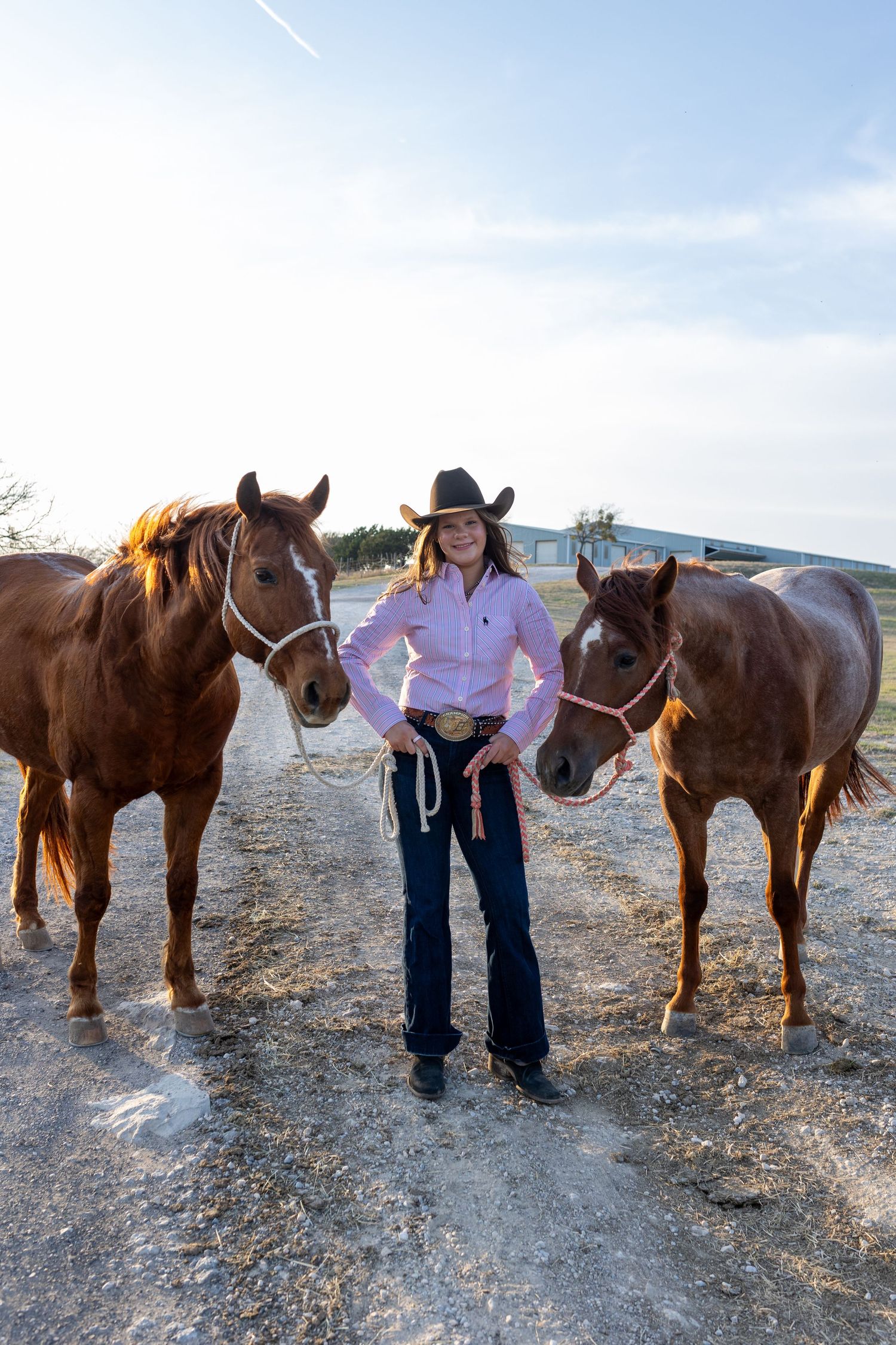 Four brown horses stand in a line on rocky terrain as someone in jeans interacts with them at sunset.