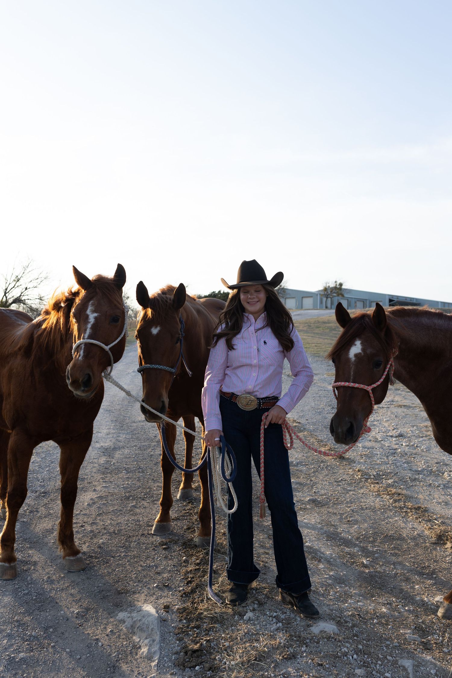 A series of four photos showing someone in a purple shirt interacting with brown horses in an open field at dusk.