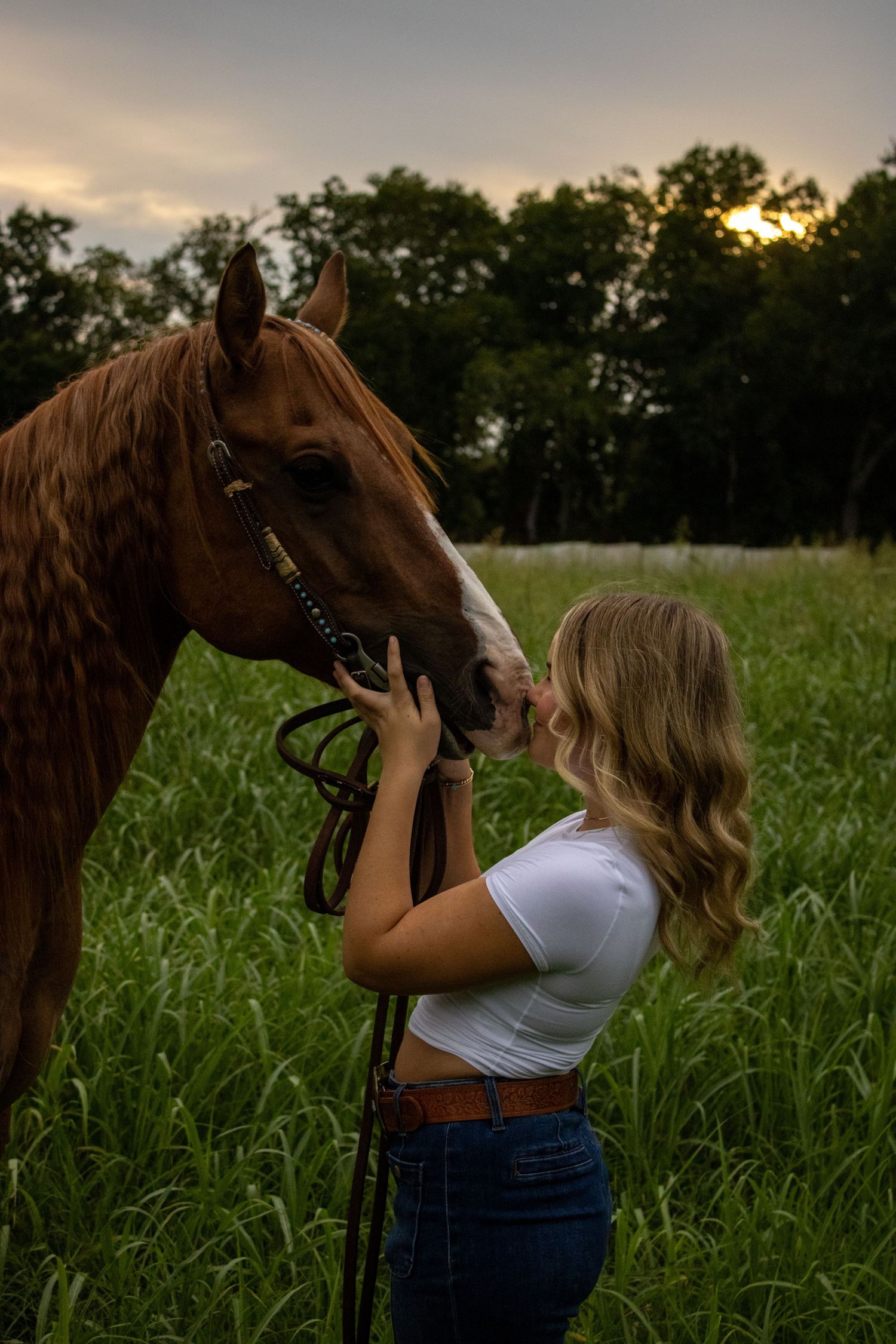 A close connection between horse and handler captured during golden hour in a pasture.