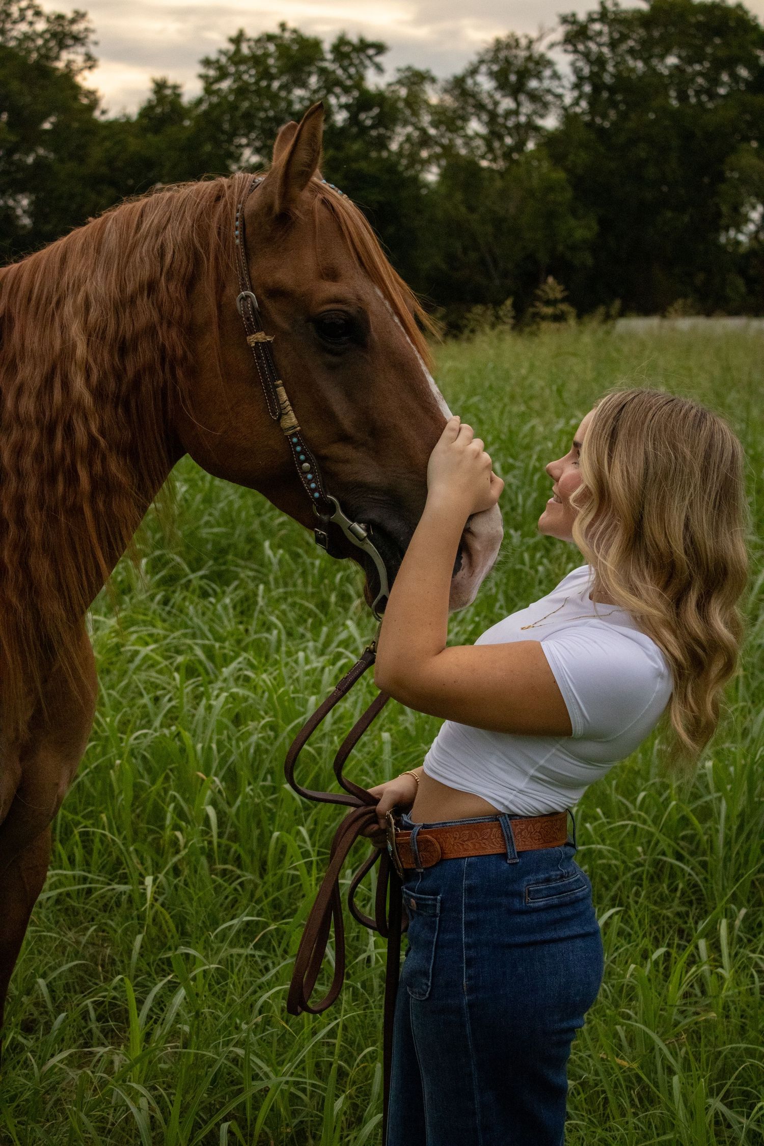 A chestnut horse with flowing mane stands in a green field at sunset while being petted on its nose.