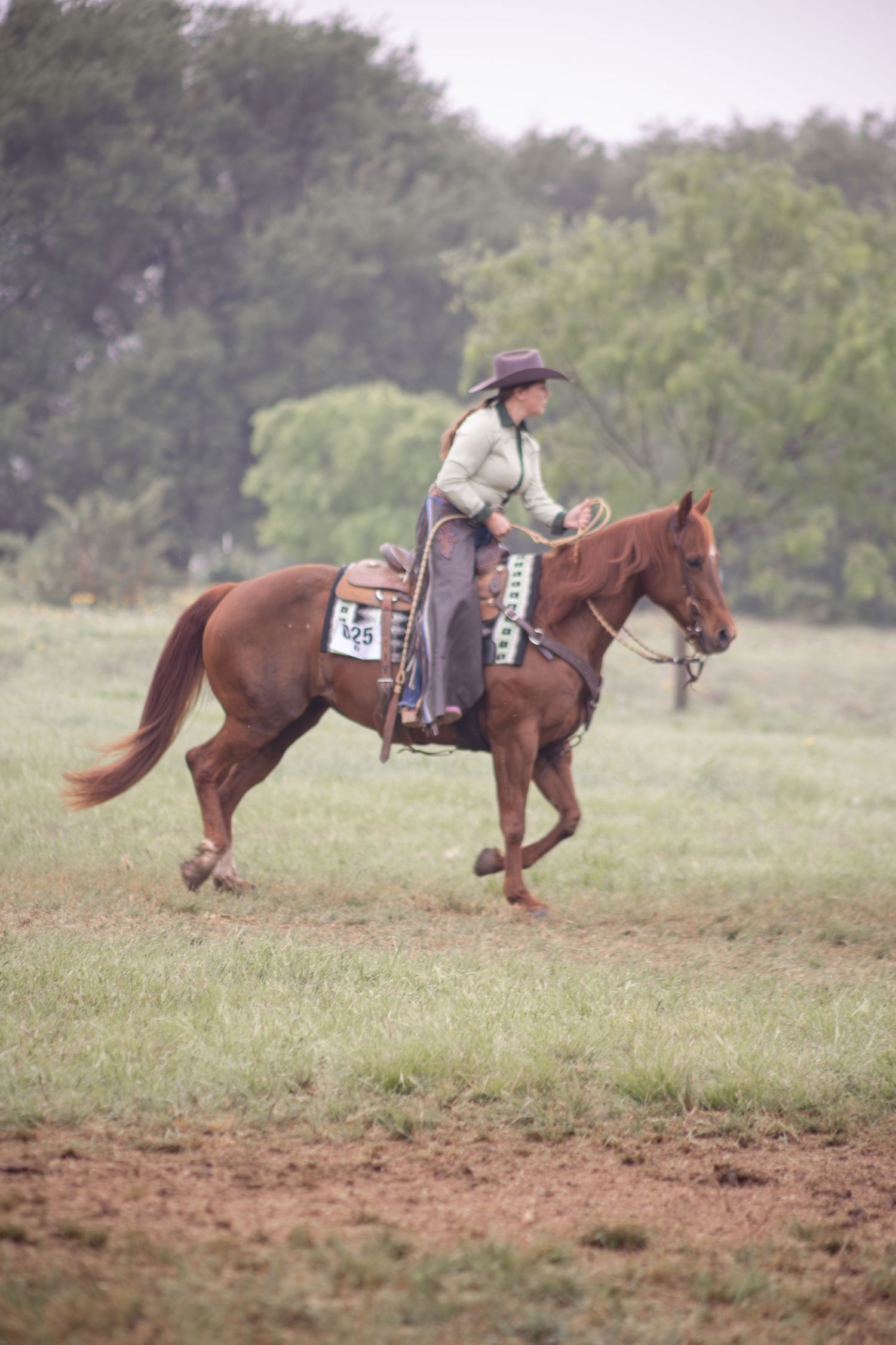 A cowgirl in western attire rides a chestnut horse across a grassy field during an equestrian competition.