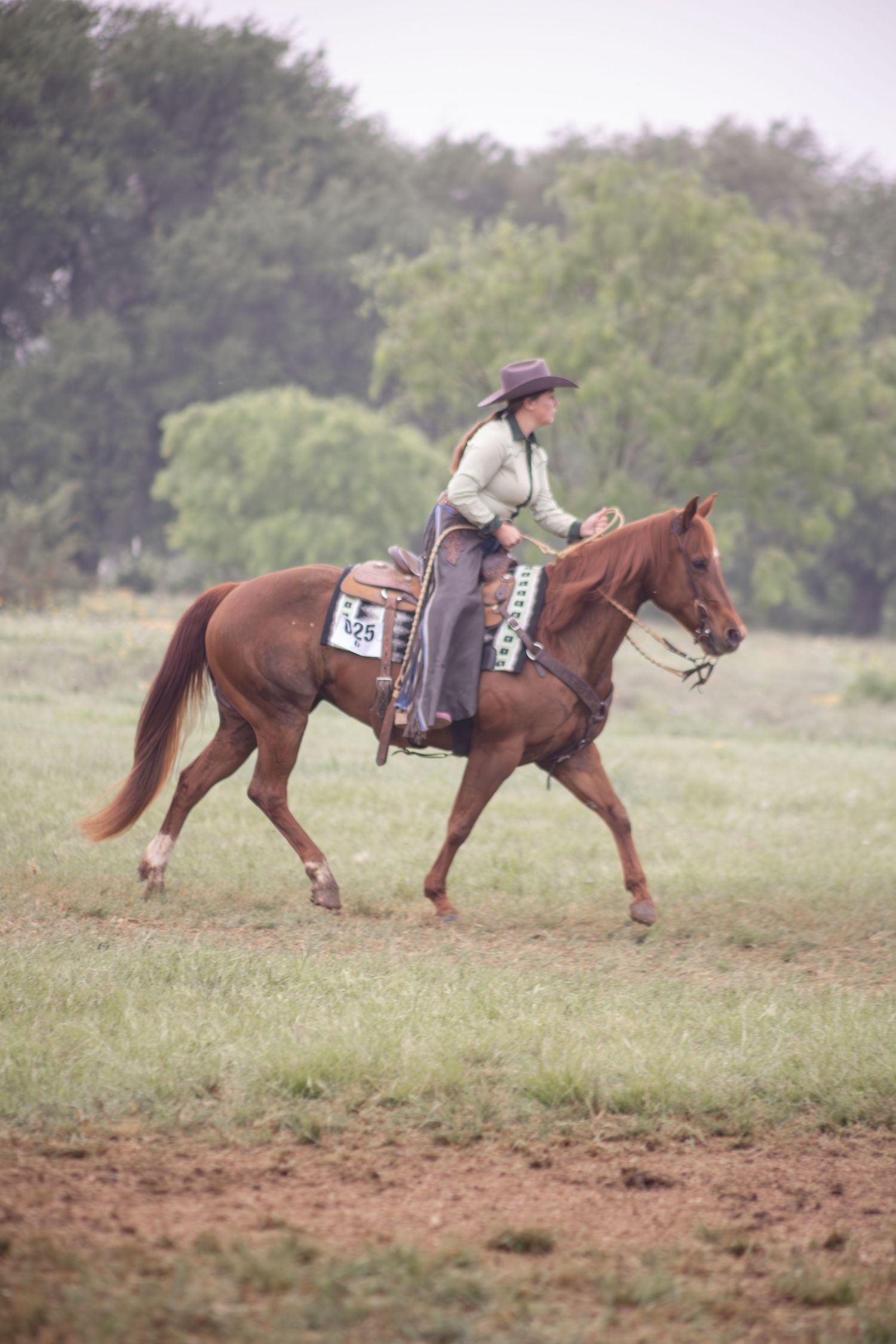Woman in cowboy hat riding a chestnut horse at a competitive equestrian event in a green field.