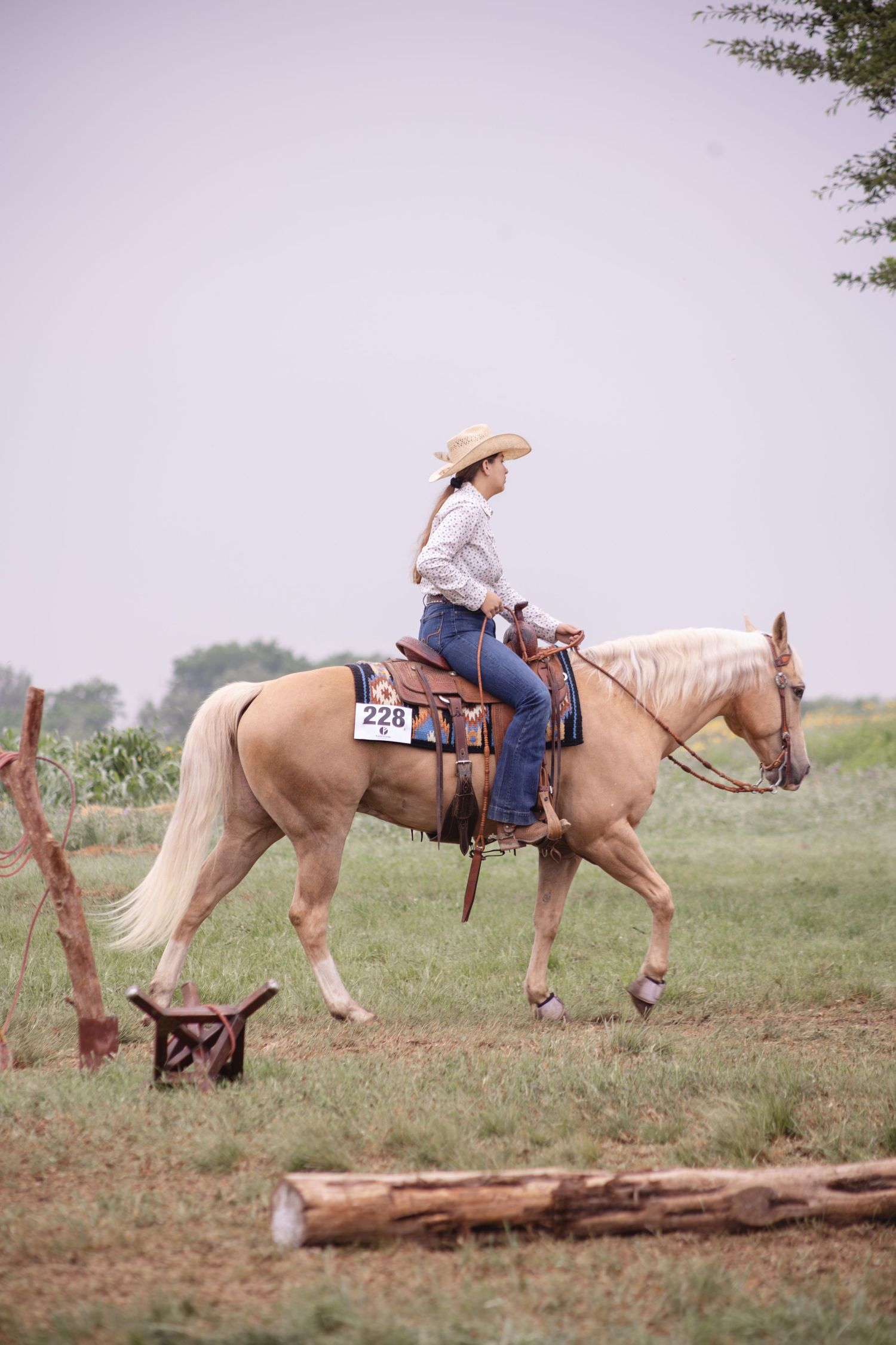 Woman in cowboy hat riding a palomino horse numbered 228 in an outdoor equestrian competition on a grassy field.