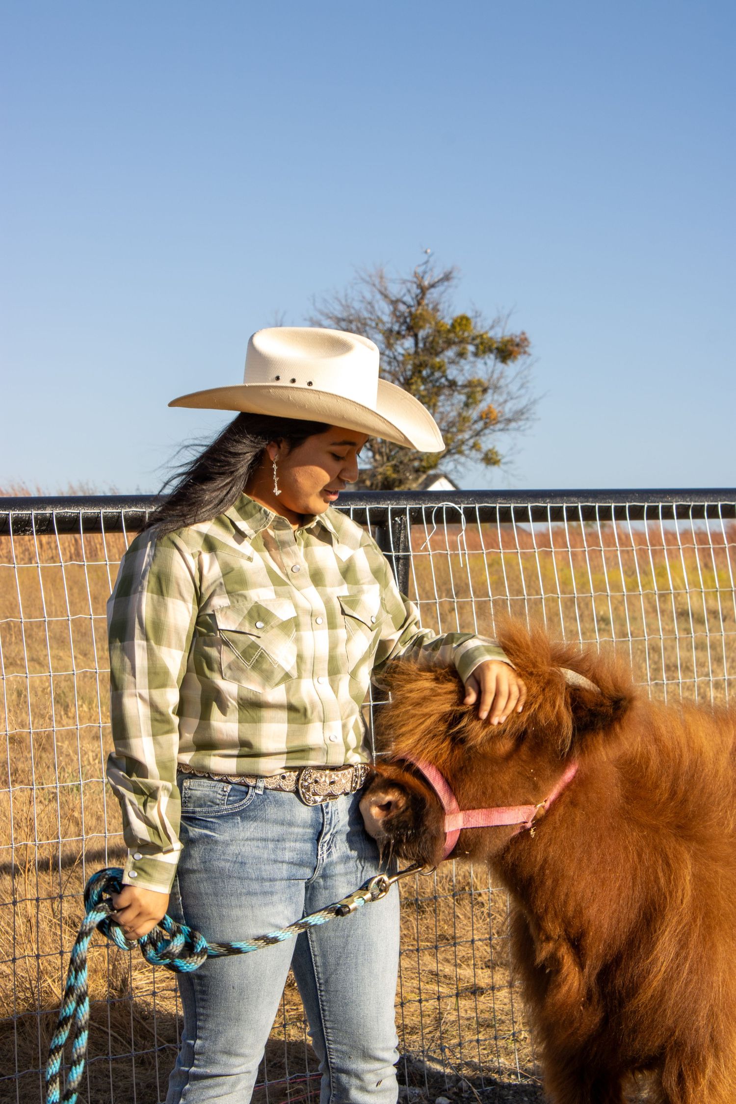 A person wearing a cowboy hat and plaid shirt pets a brown miniature pony in a fenced pasture on a sunny day.
