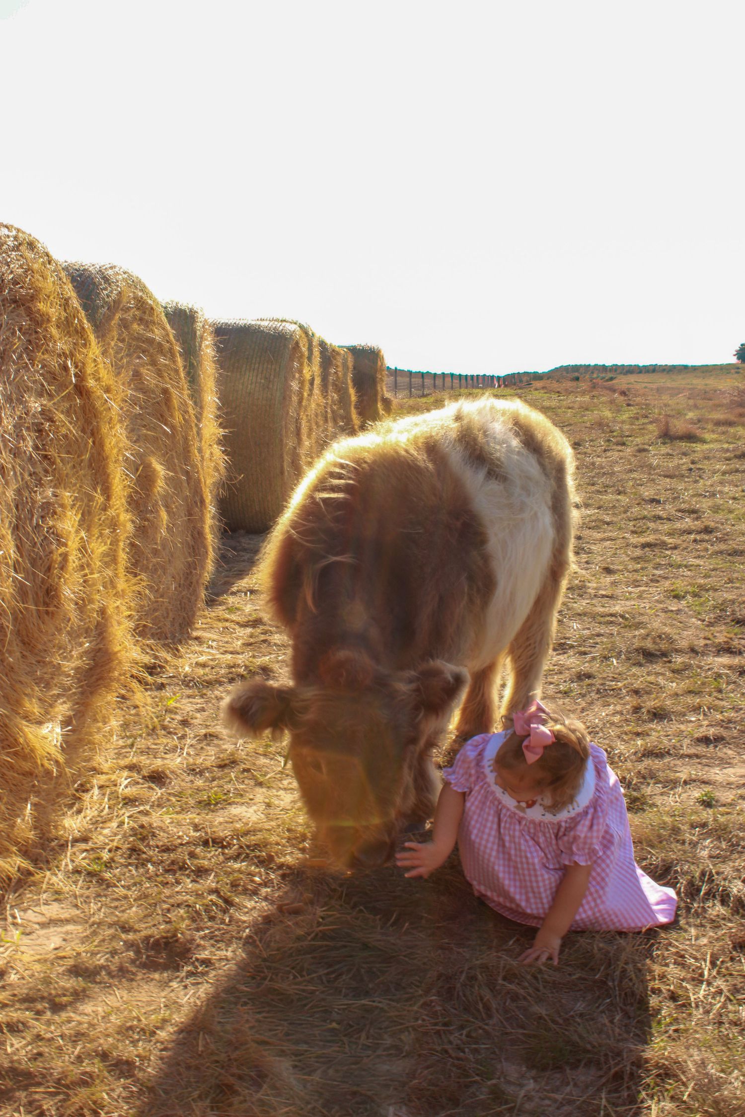 A child in a pink dress bends down to pet a friendly orange and white cat among hay bales in golden sunlight.