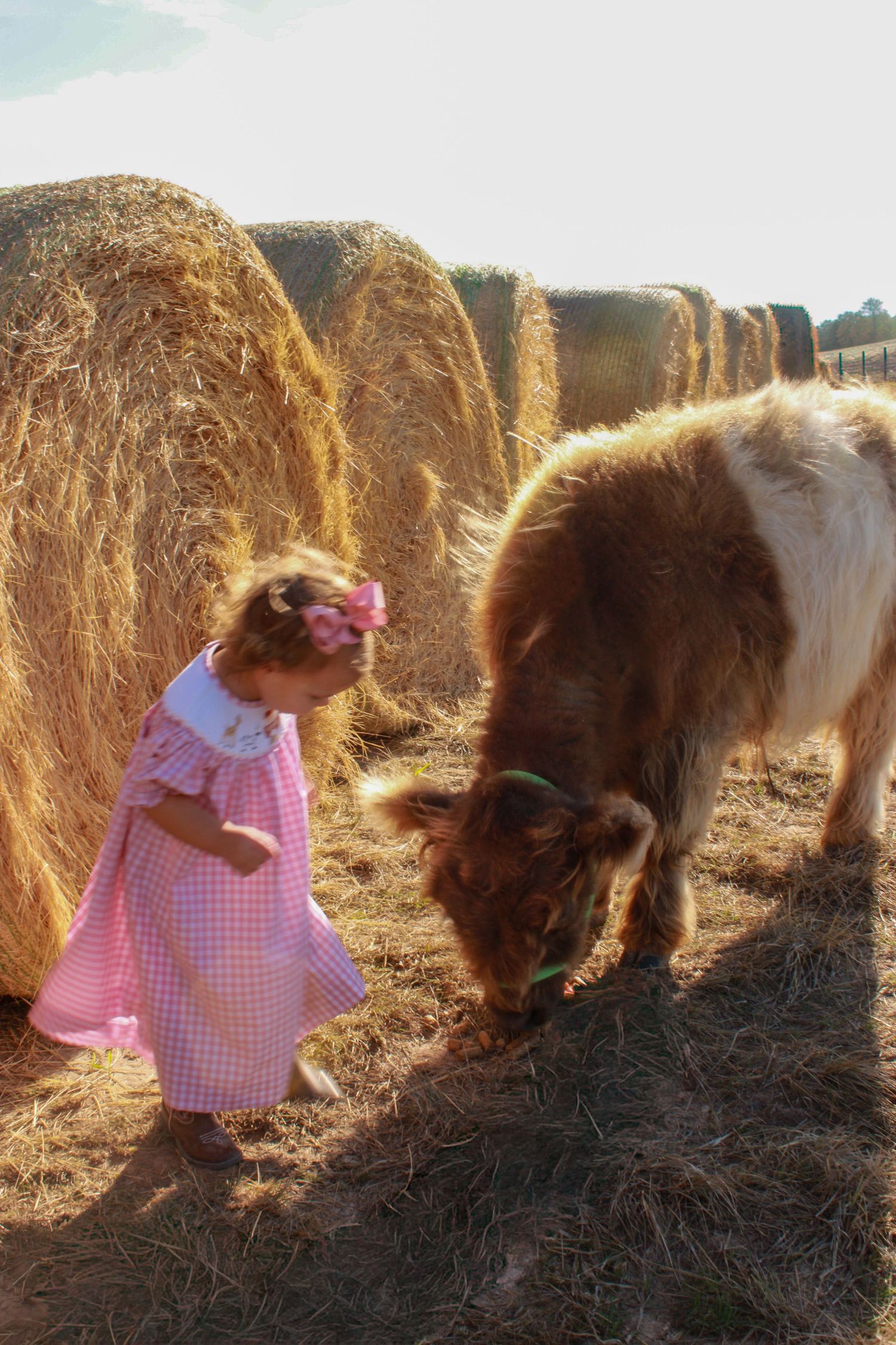 A young child in a pink gingham dress explores a rustic farm scene with hay bales and a pony in golden sunlight.