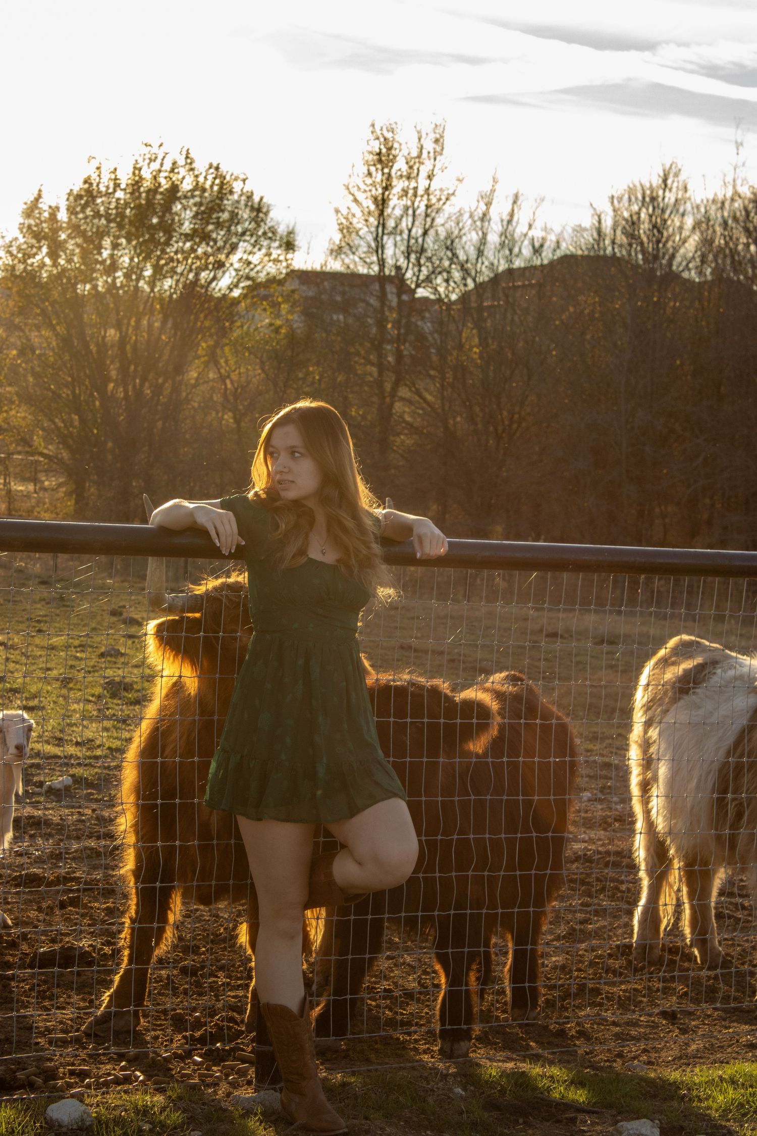 Person in black dress leaning on farm fence with horses at sunset creating a warm backlit silhouette effect.
