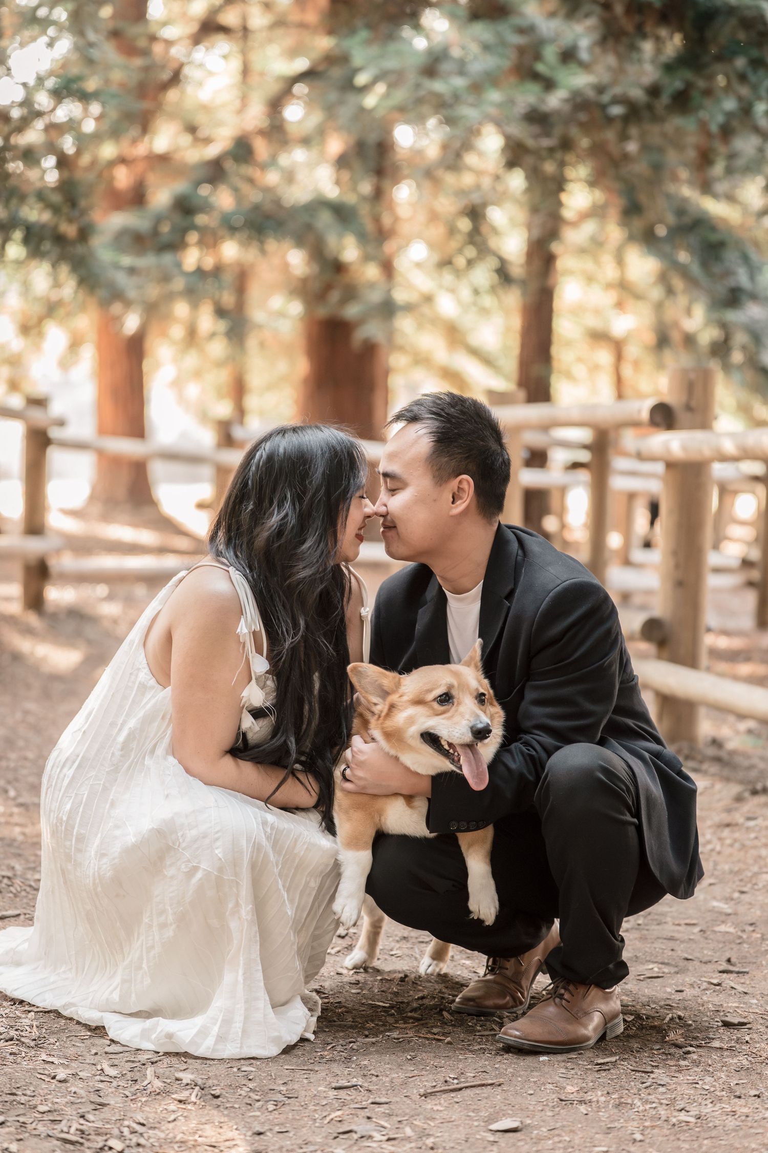 Couple in wedding attire crouching with a happy Corgi dog in a sunlit forest setting.