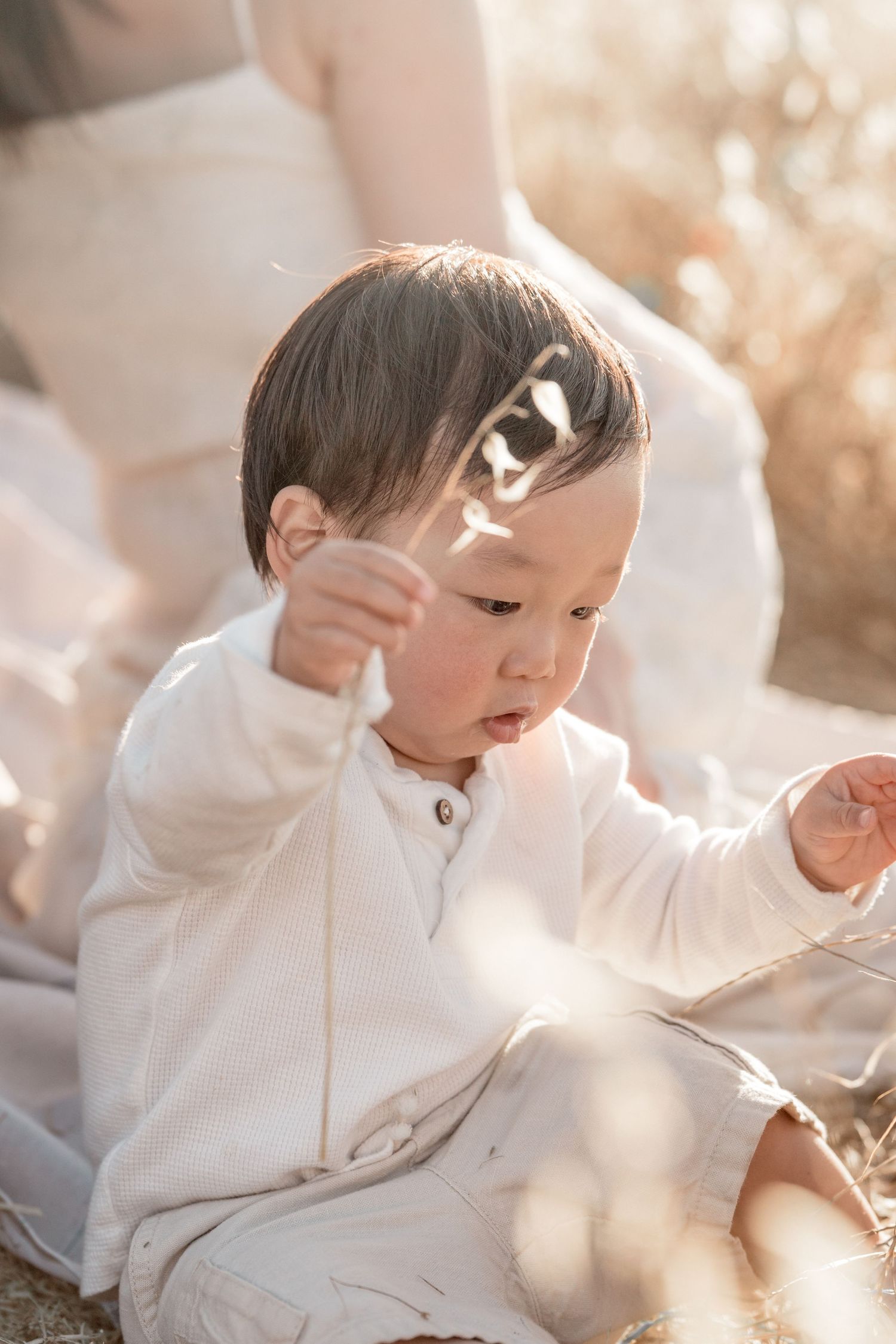 A curious Asian toddler in a white outfit sits outdoors in golden sunlight, reaching out to touch a delicate plant stem.