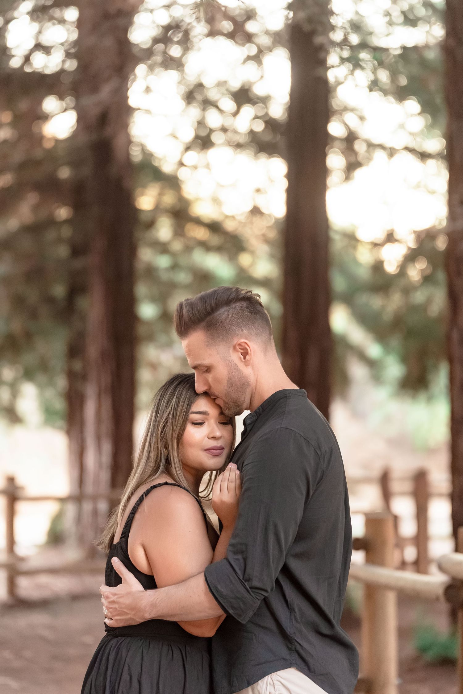 Romantic couple sharing tender embrace among towering redwood trees in soft golden backlit forest.
