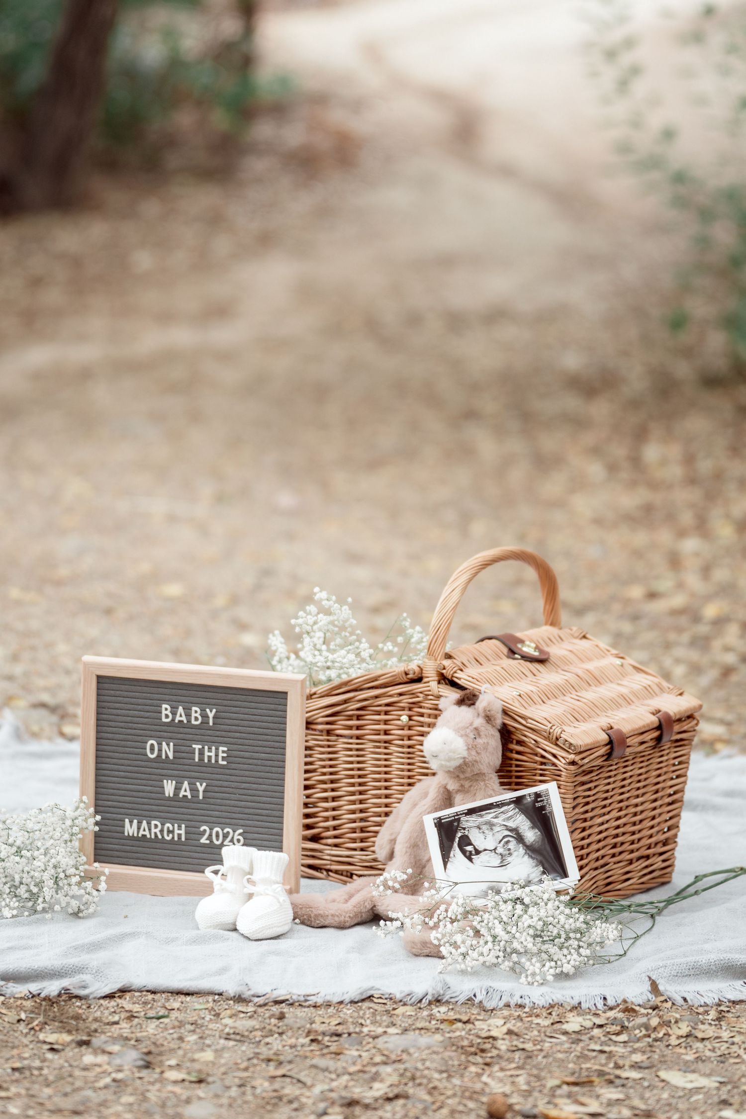 Baby announcement display with letter board reading Baby On The Way March 2026, wicker basket, ultrasound photo, and stuffed animal.