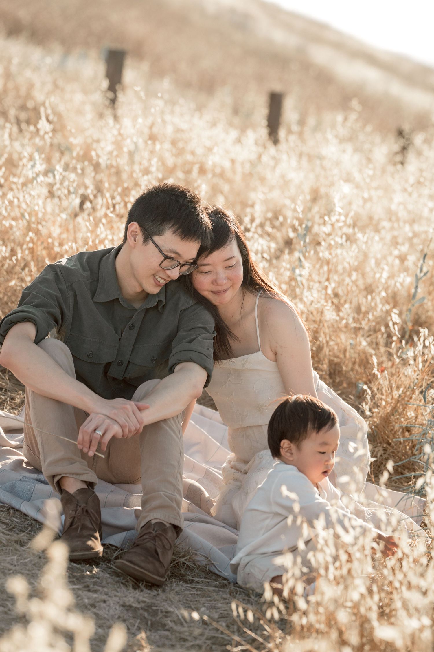 A family of three sits together in a golden field, parents smiling at their young child in warm natural light.