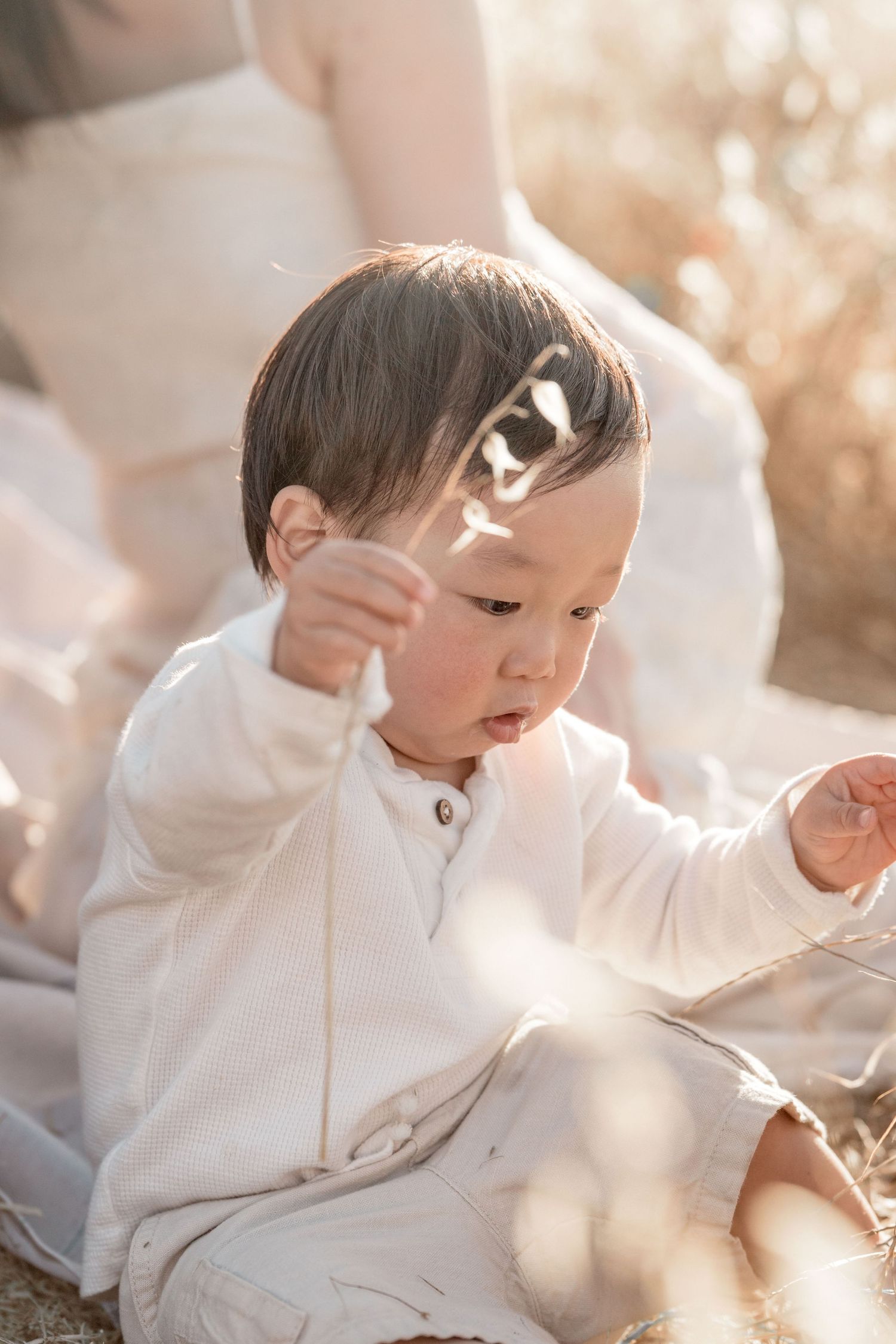 Curious toddler in white outfit sitting in sunlit field, playing with a delicate grass stem.