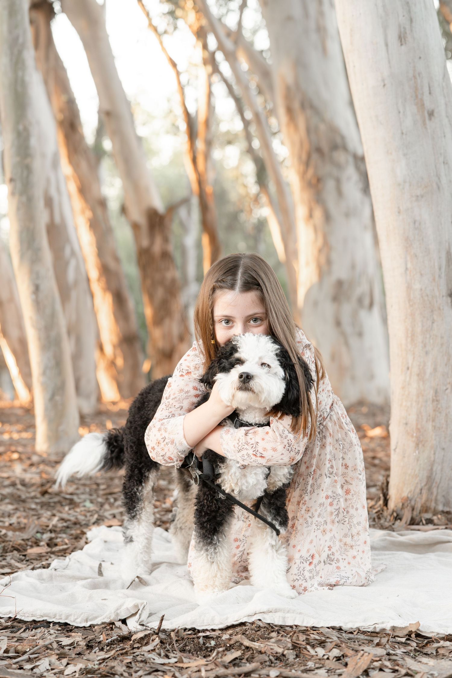 Young girl in floral dress hugs black and white fluffy dog in a eucalyptus grove.