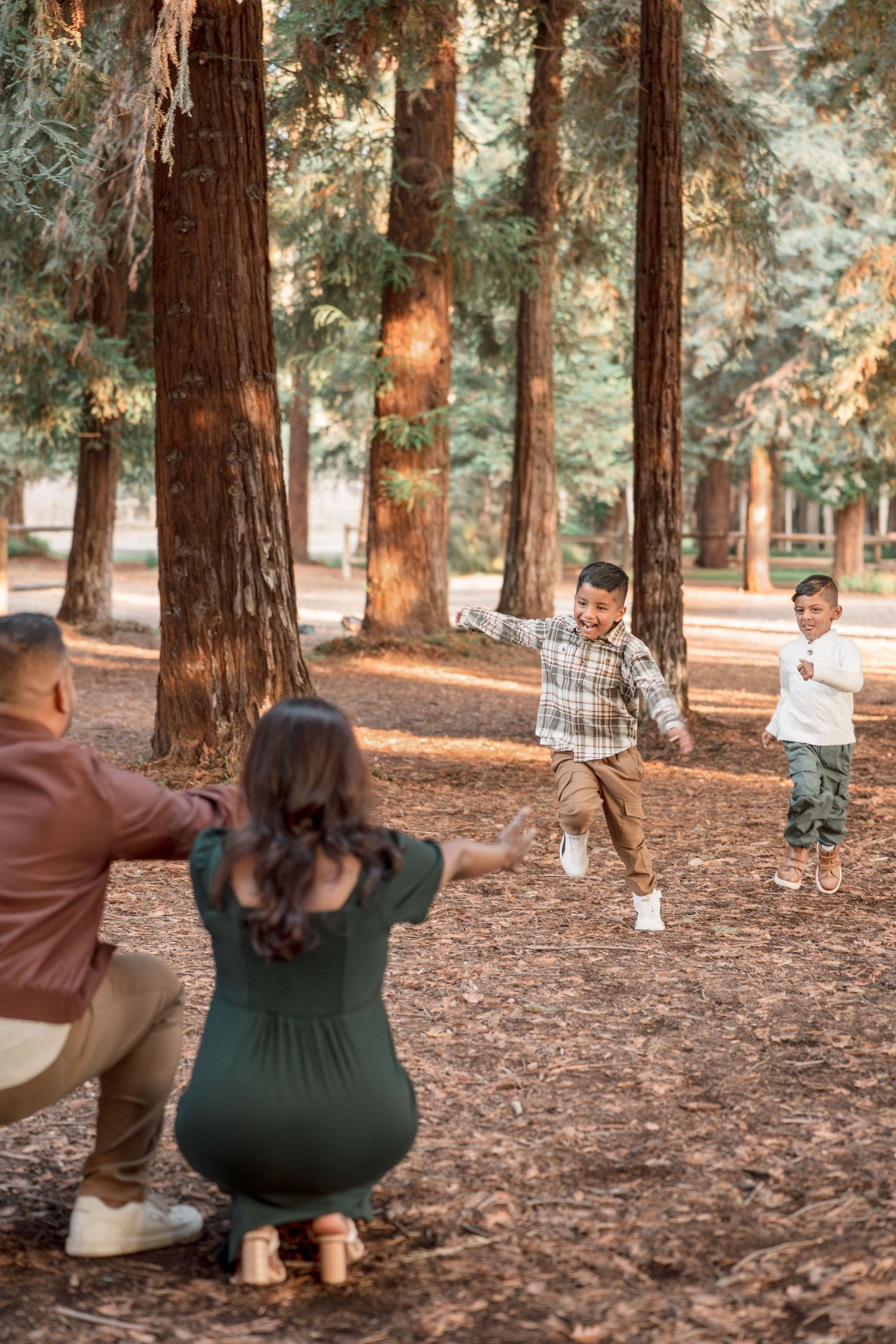 Two young boys run joyfully toward their parents in a sunlit redwood forest during a family photo session.