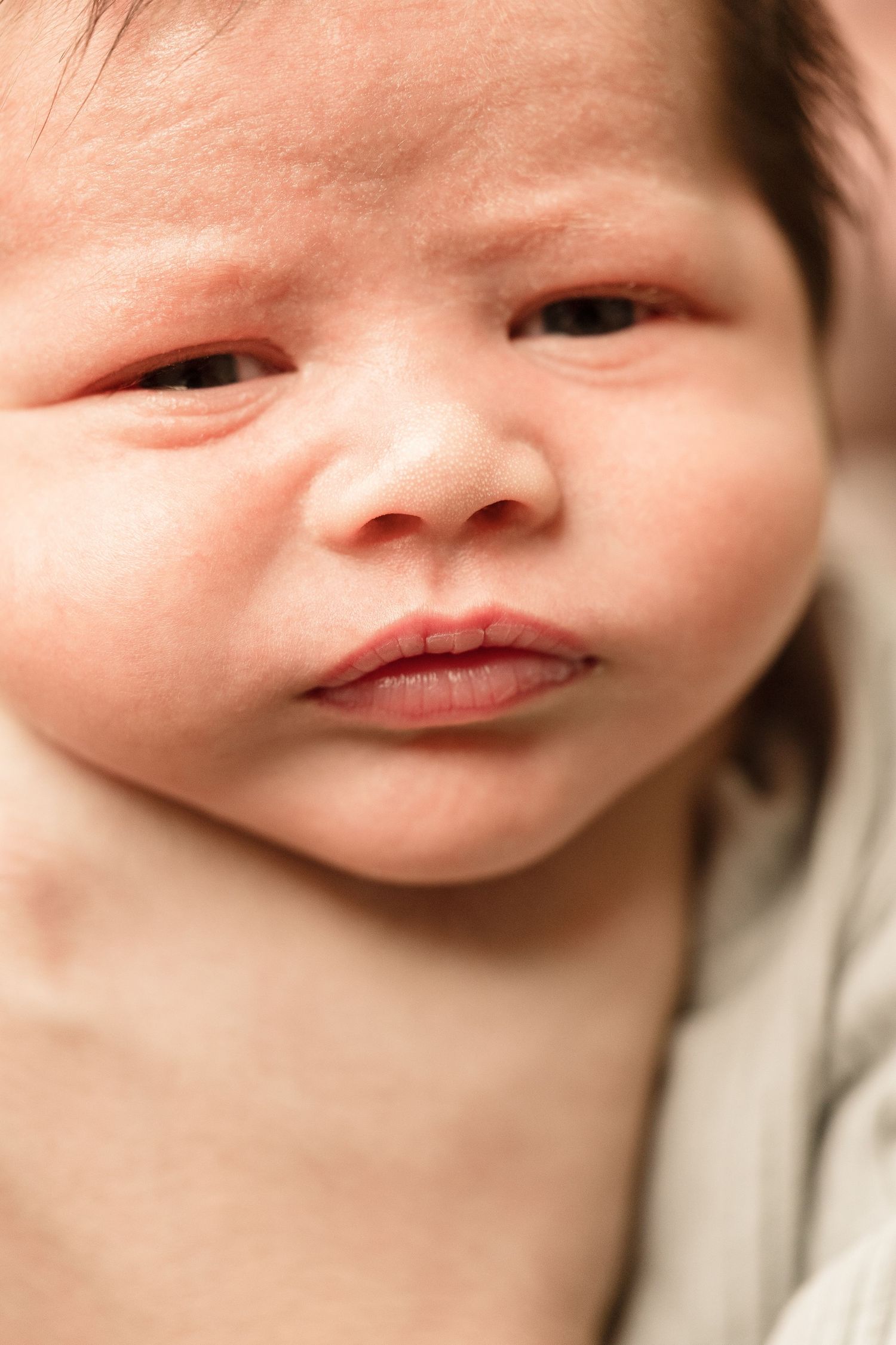 Close-up portrait of a newborn baby with chubby cheeks and pursed lips resting on a soft blanket.
