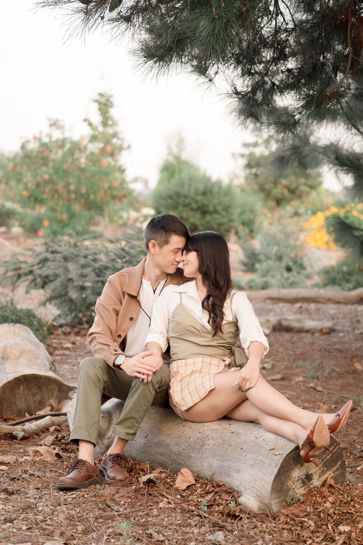 Couple sits closely together on a log in a pine forest, sharing a romantic nose-to-nose moment.