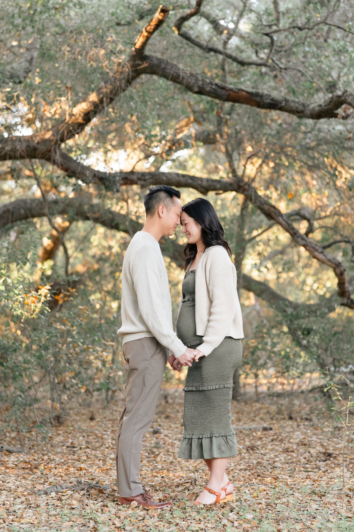 An expecting couple holds hands and touches foreheads tenderly beneath a sprawling oak tree in golden light.