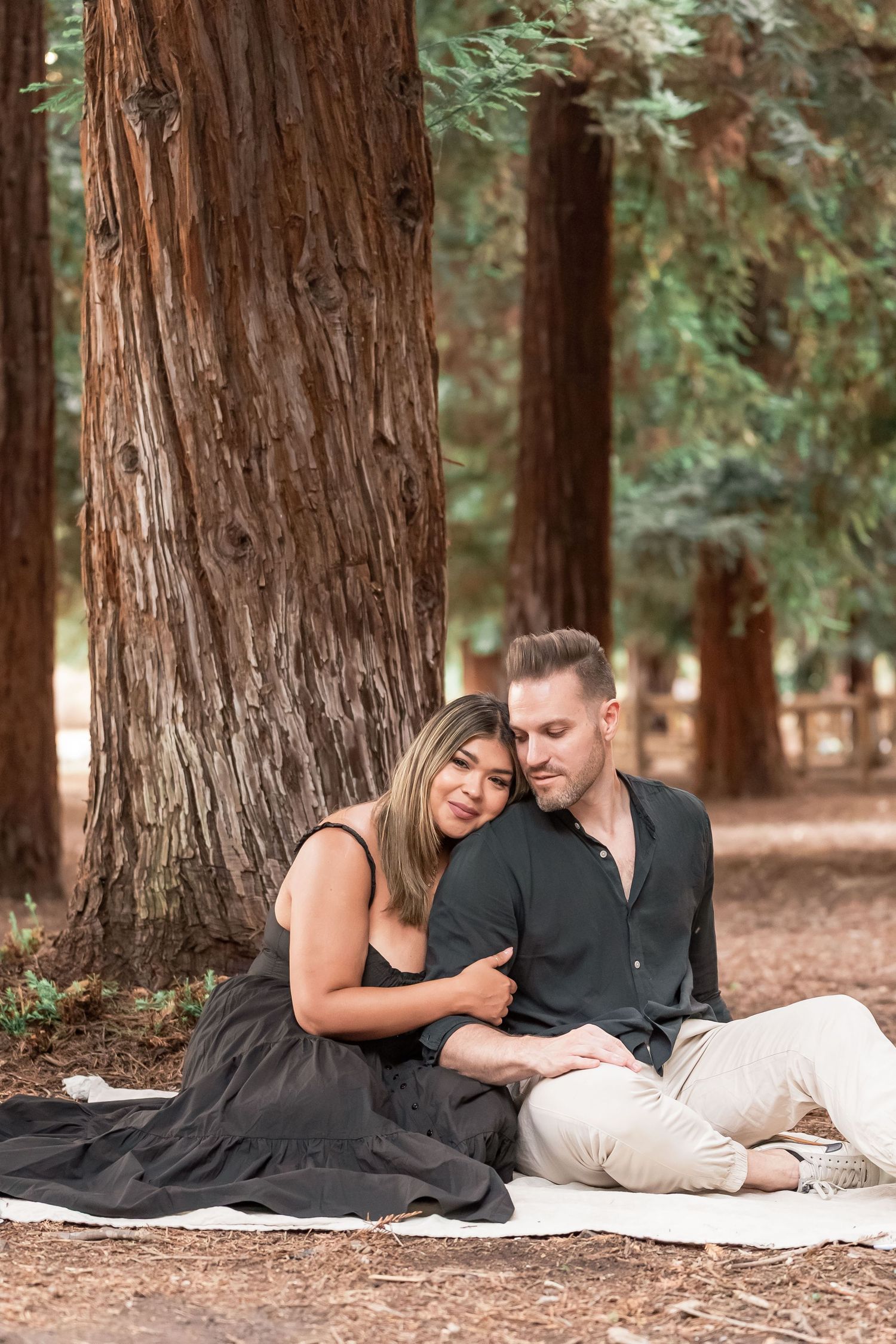 Couple sitting peacefully together on blanket leaning against massive redwood tree in forest.
